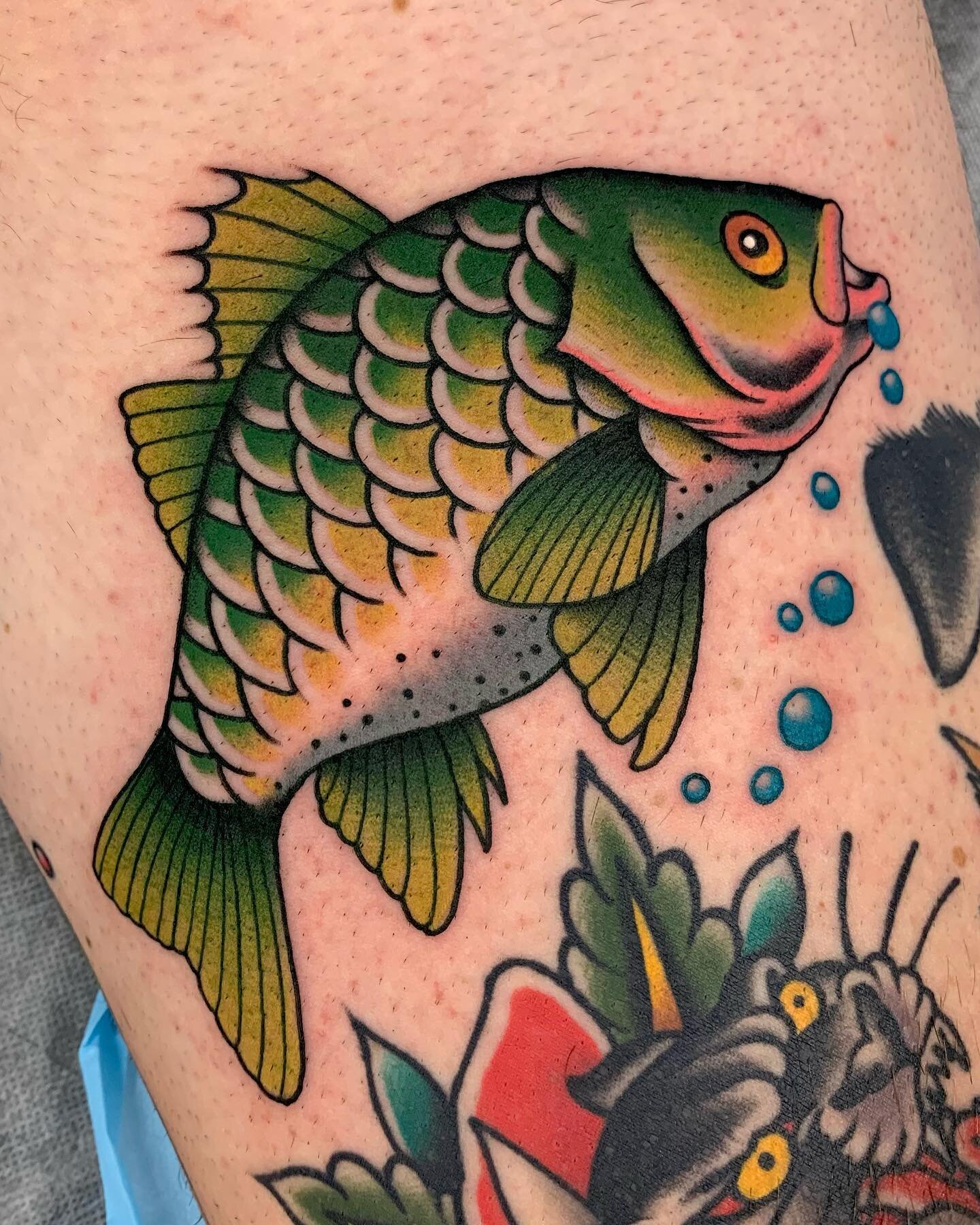 Australian Bass and skull kneecap  for the keen fisherman @justin_brock ! We have pretty much finished his leg and it&rsquo;s been a pleasure, thanks so much for the commitment, and always picking fun tatts. @heartstattooing