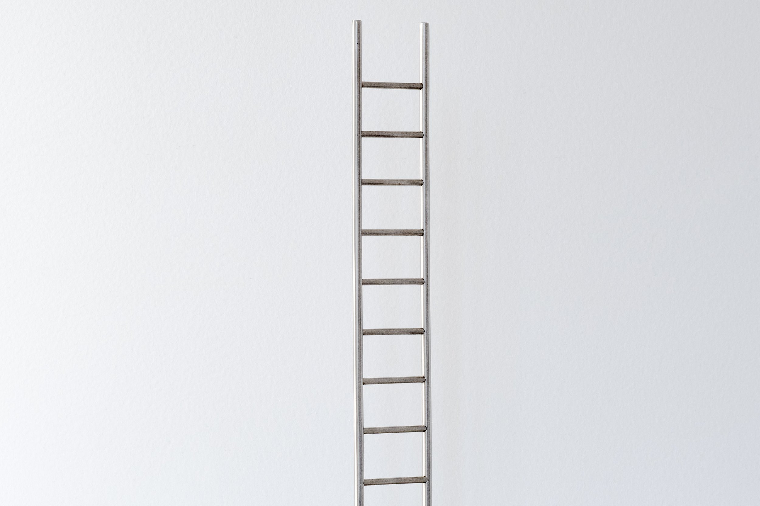 Miniature-argent-2:2.jpg