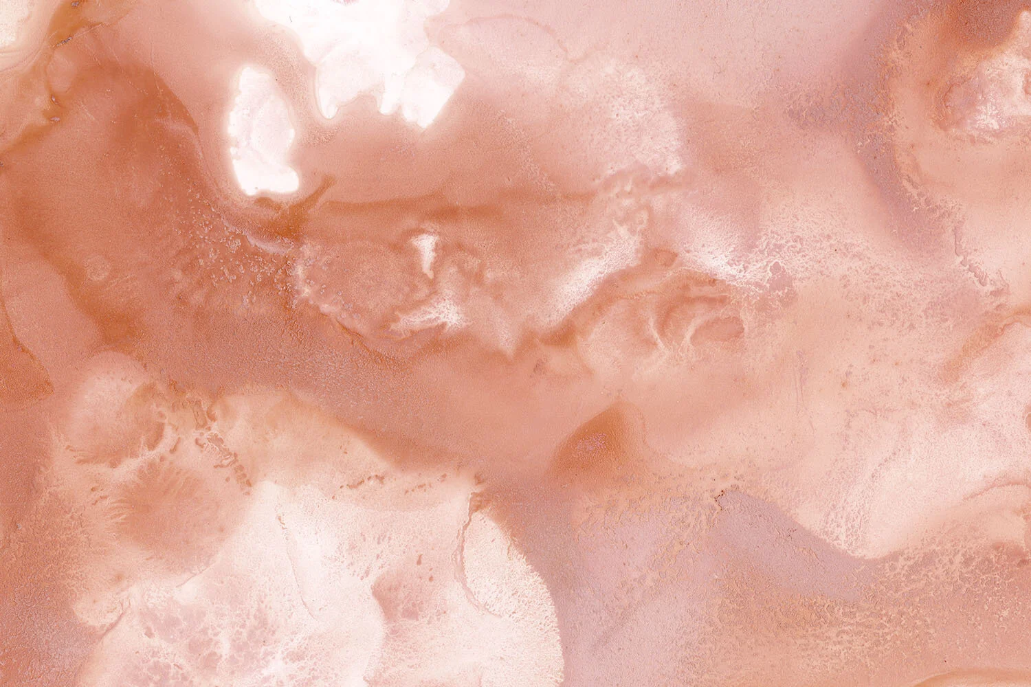 Terra Cotta  |  Made to Measure Mural