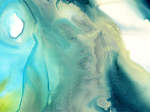 Blue Eagle  |  Made to Measure Mural