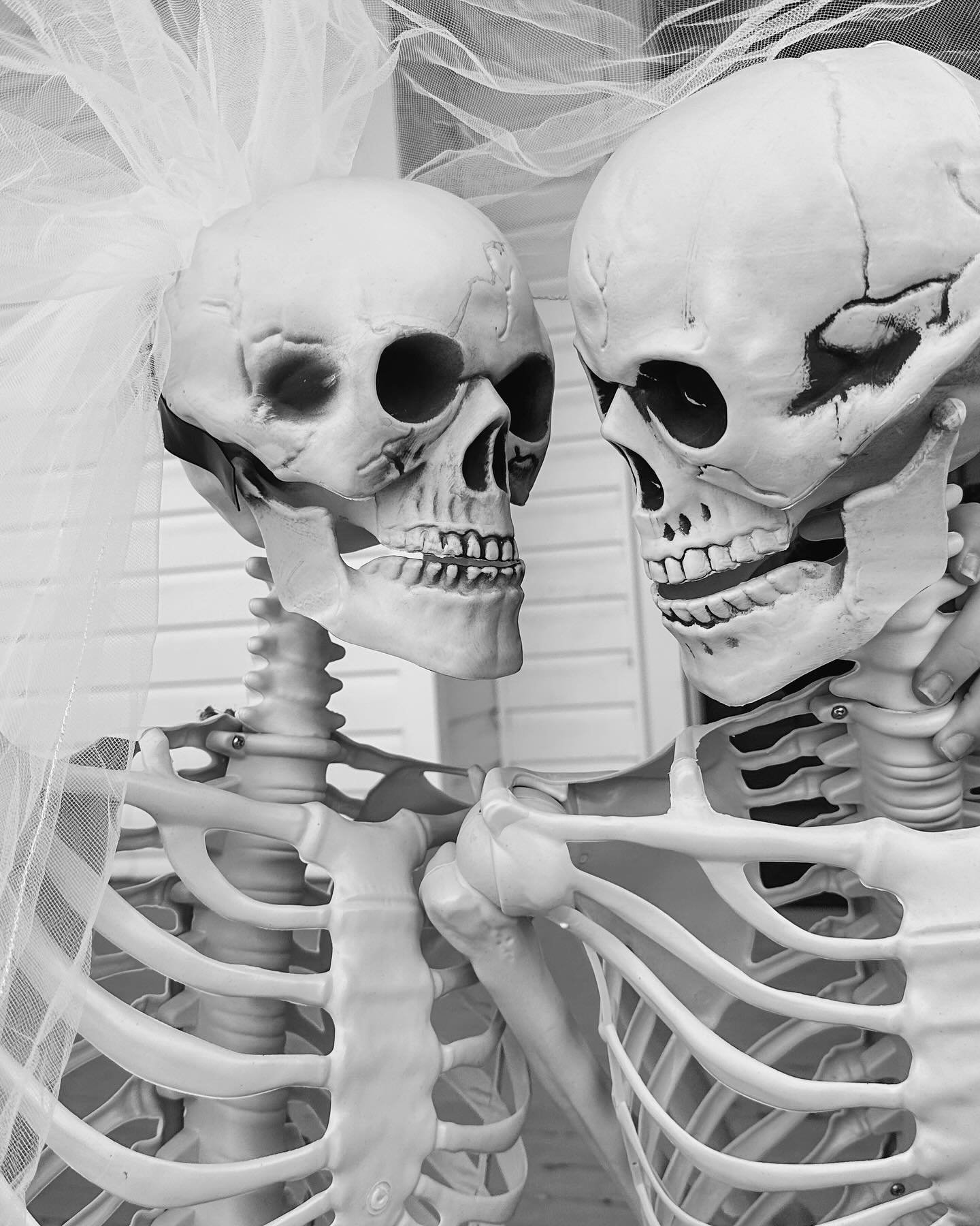 Till death 🤍🤍

#adelaideeventsvenue #tilldeath #tilldeathdousapart #happyhalloween #halloweenwedding #weddinginspo