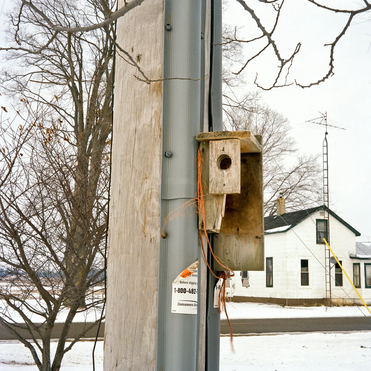 Carpenter_Kristy-15.jpg