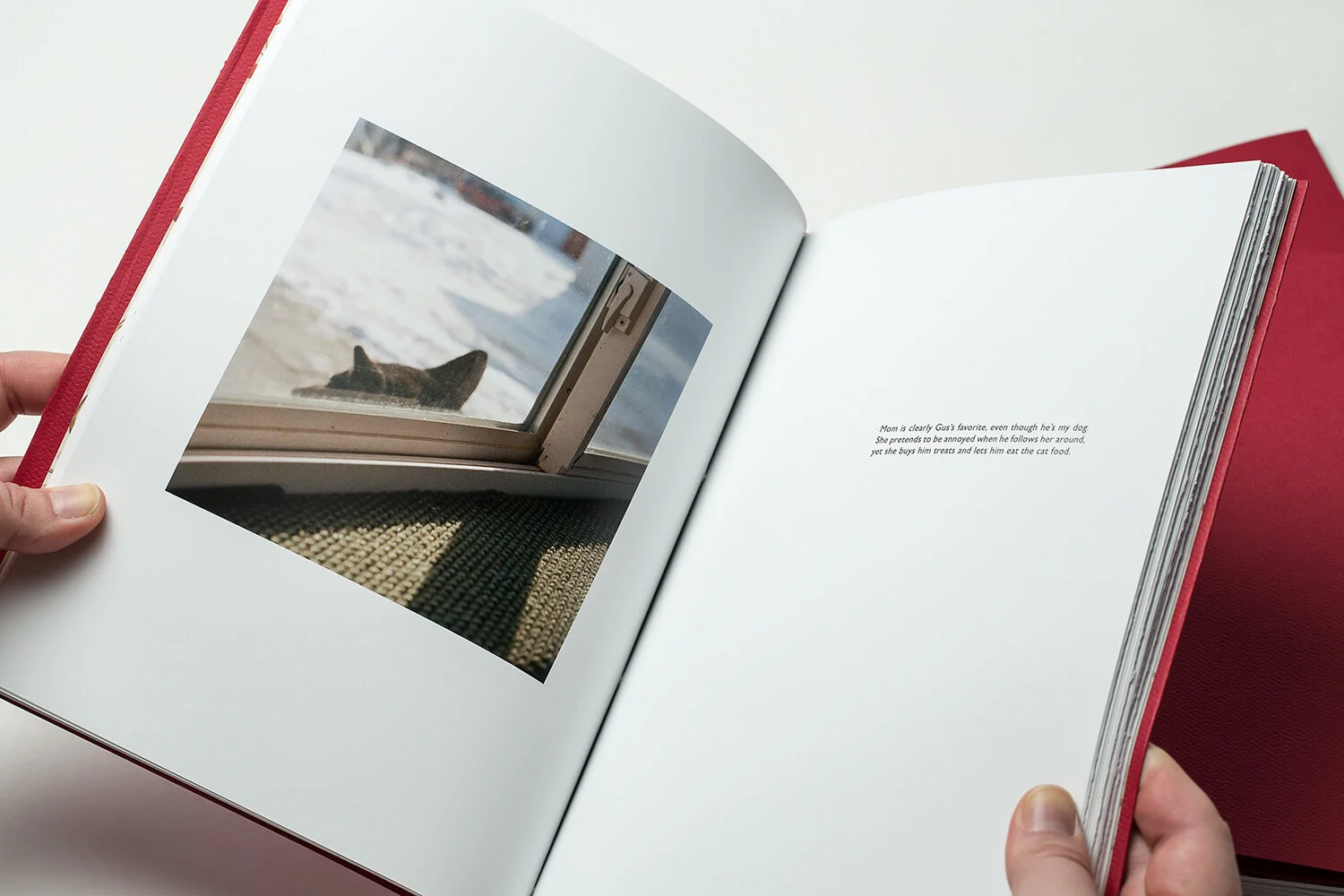 thesis_artistbooks-7.jpg