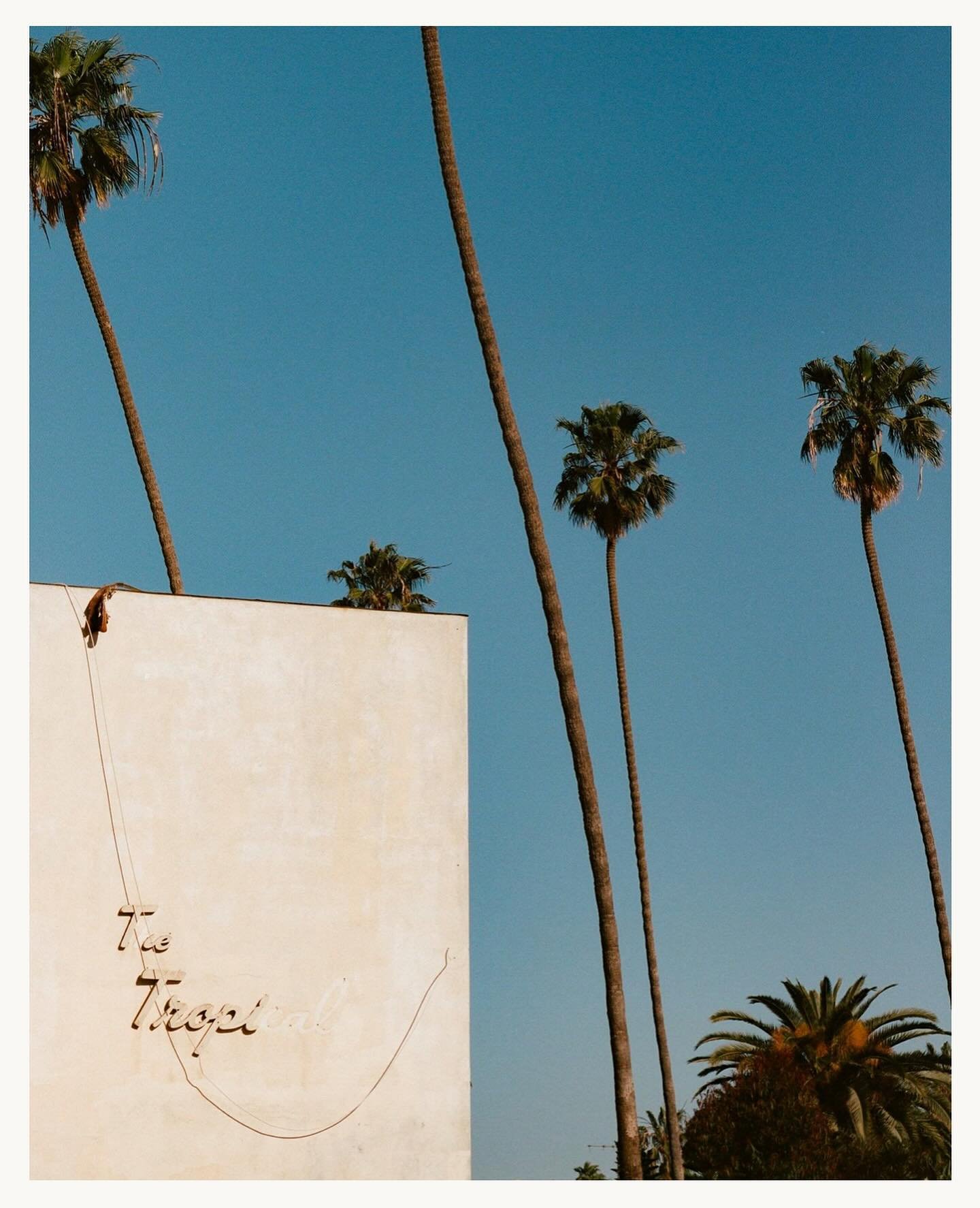 The Tropical &mdash; Los Angeles.

#film #kodak