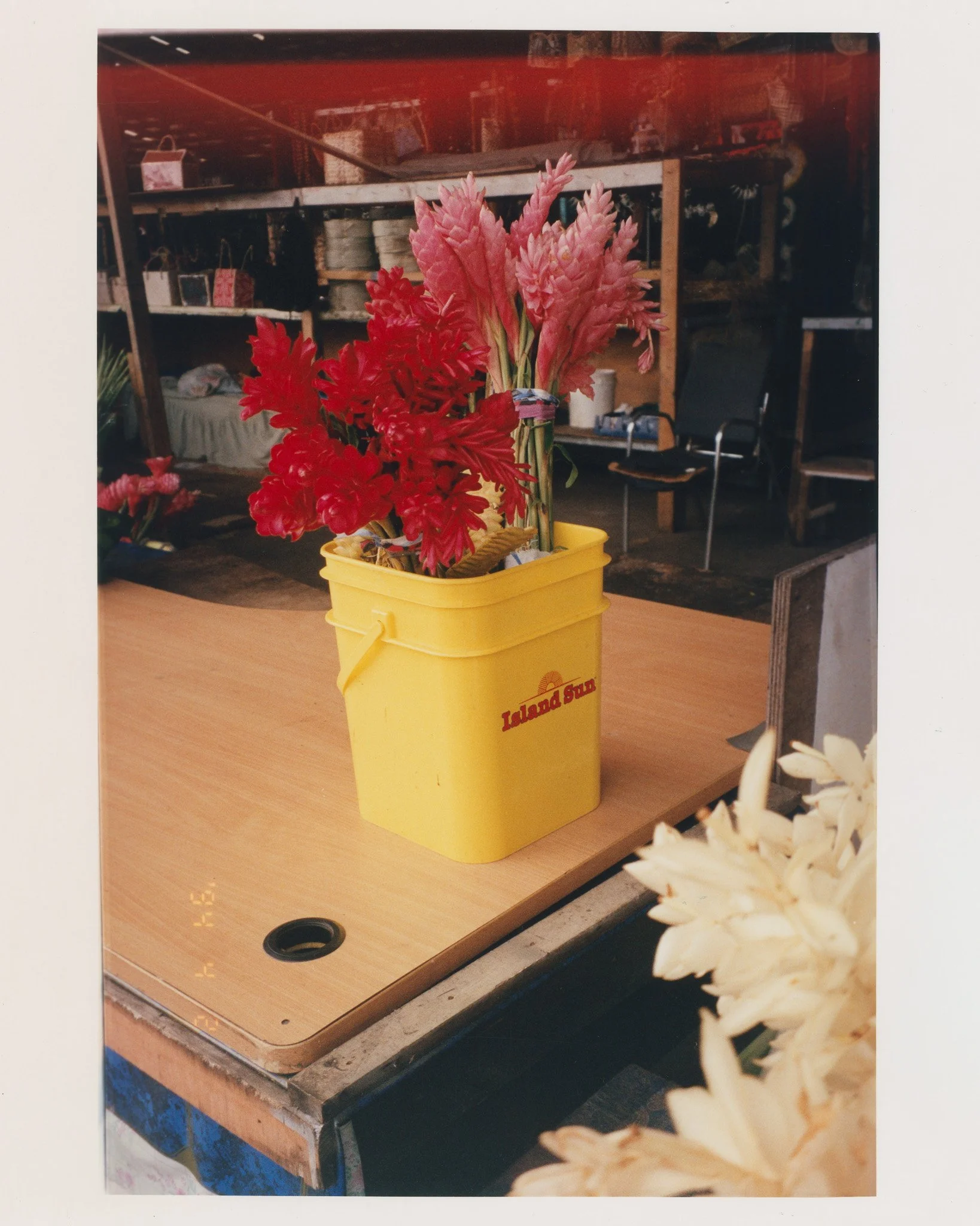 001 - Darkroom Hand Prints