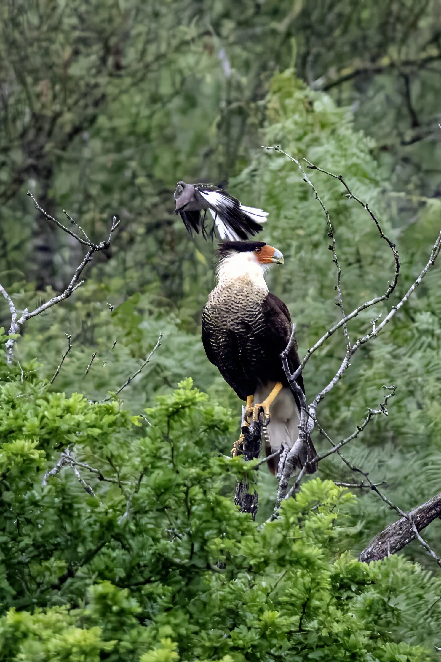 2025 Year in Review - SOME of my favorite photos