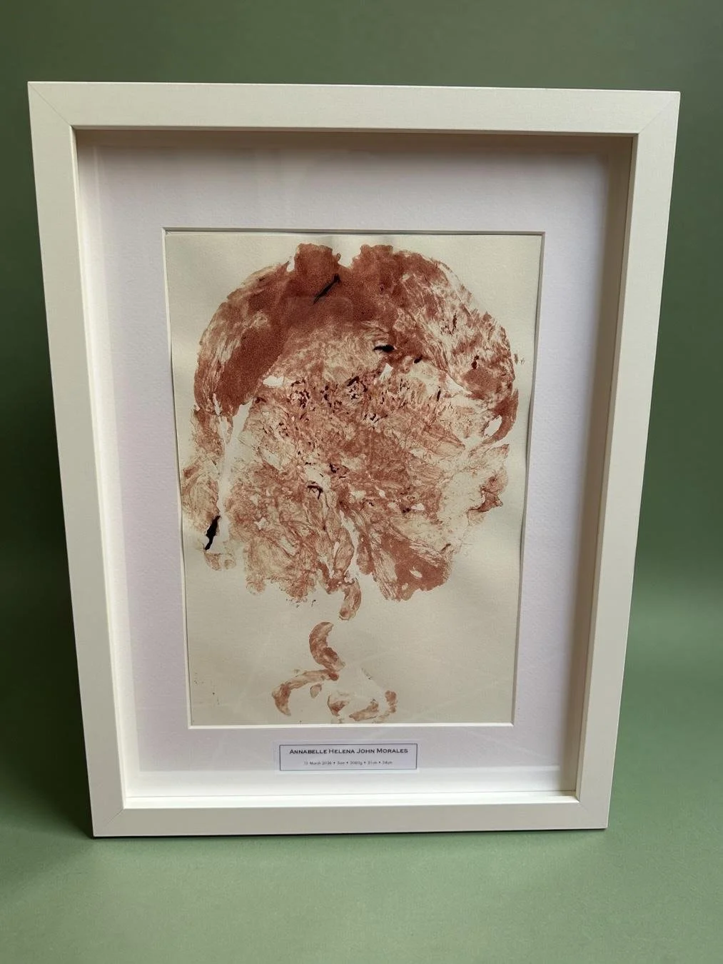 Framed Placenta Art