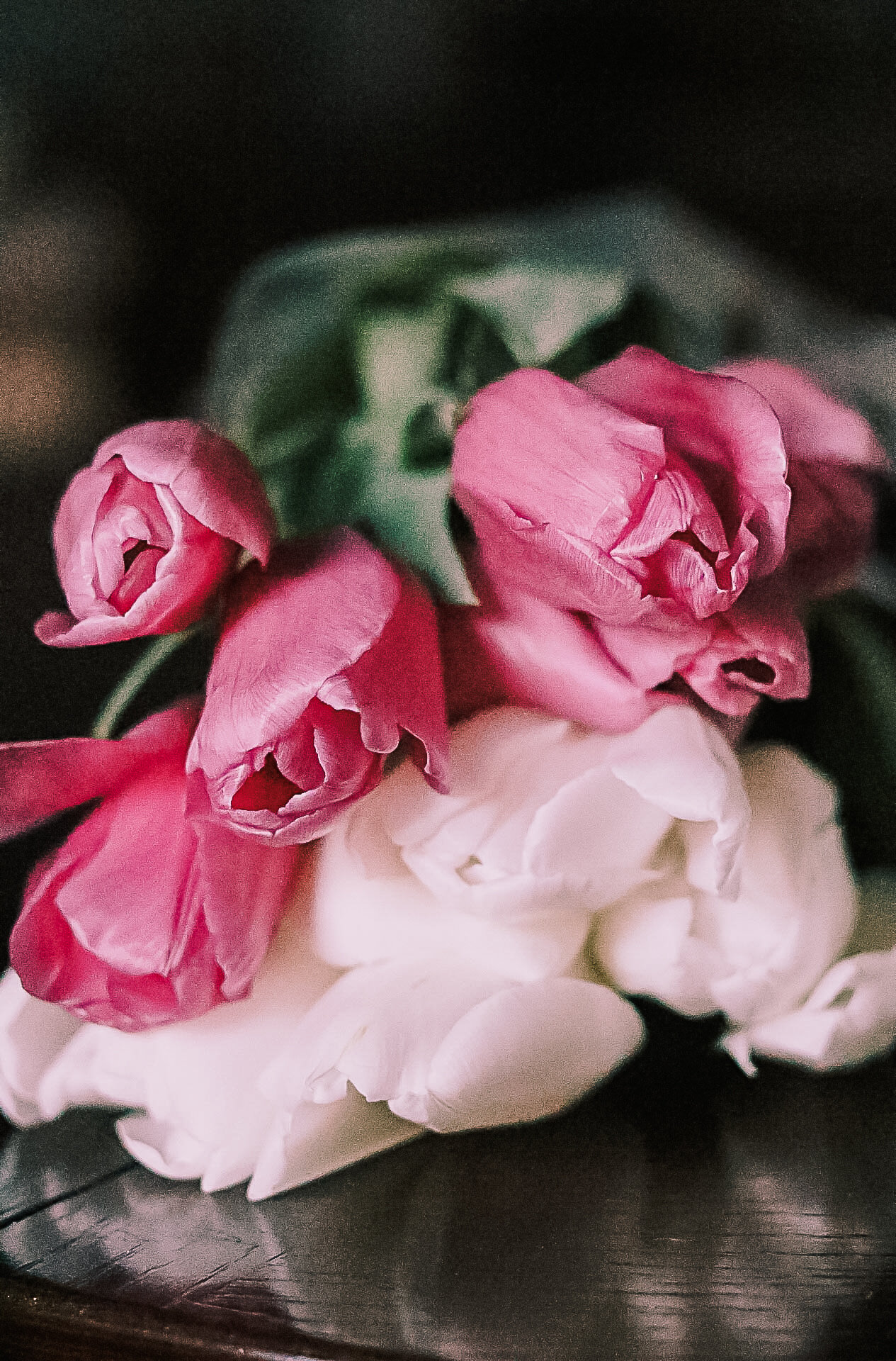 untitled-3.jpg