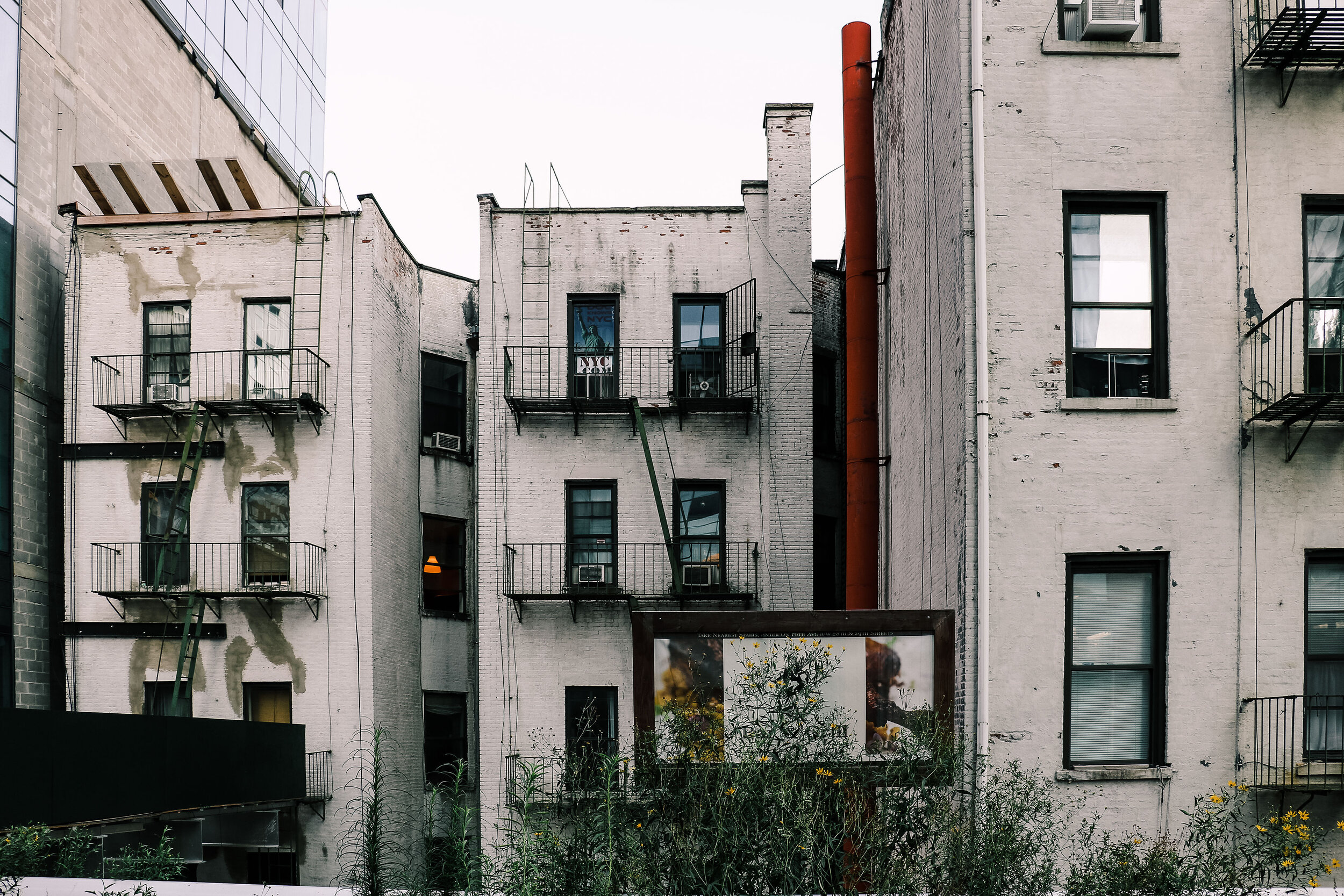 Society6-61.jpg