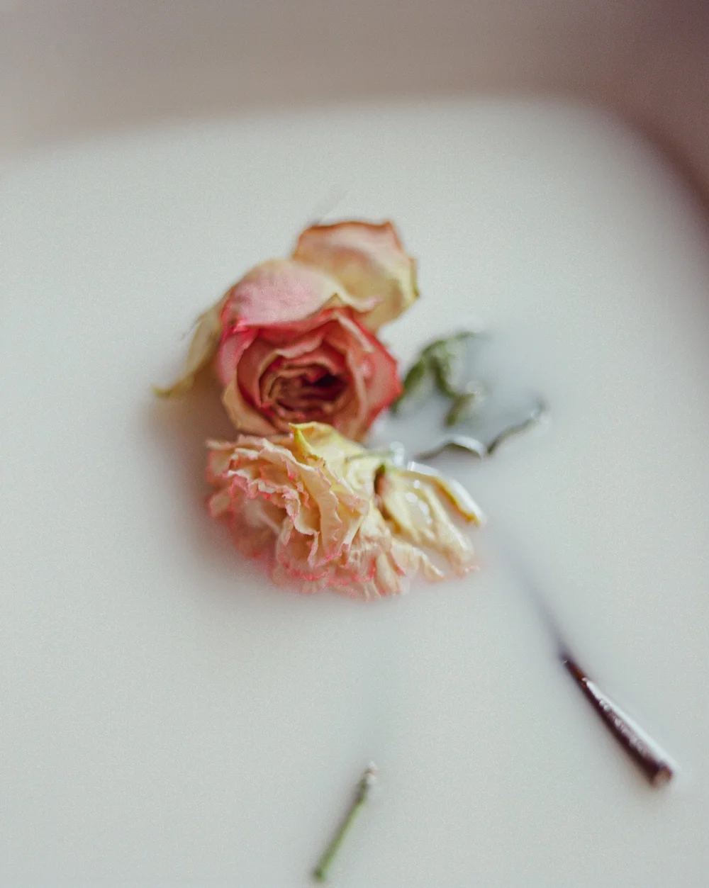 ~ overall look not as I had envisioned in my mind