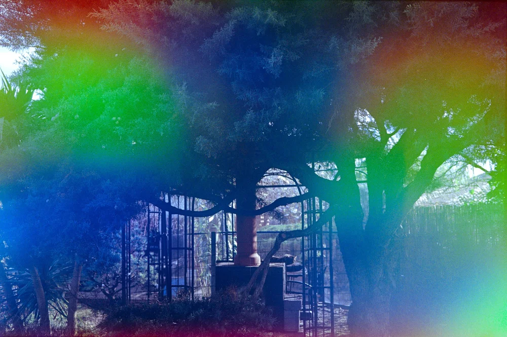 WEB_Psych Blues 4-0727.JPG