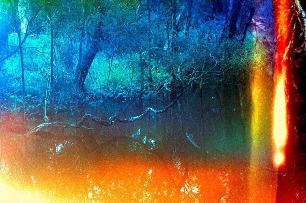 WEB_Psych Blues 4-0730.JPG