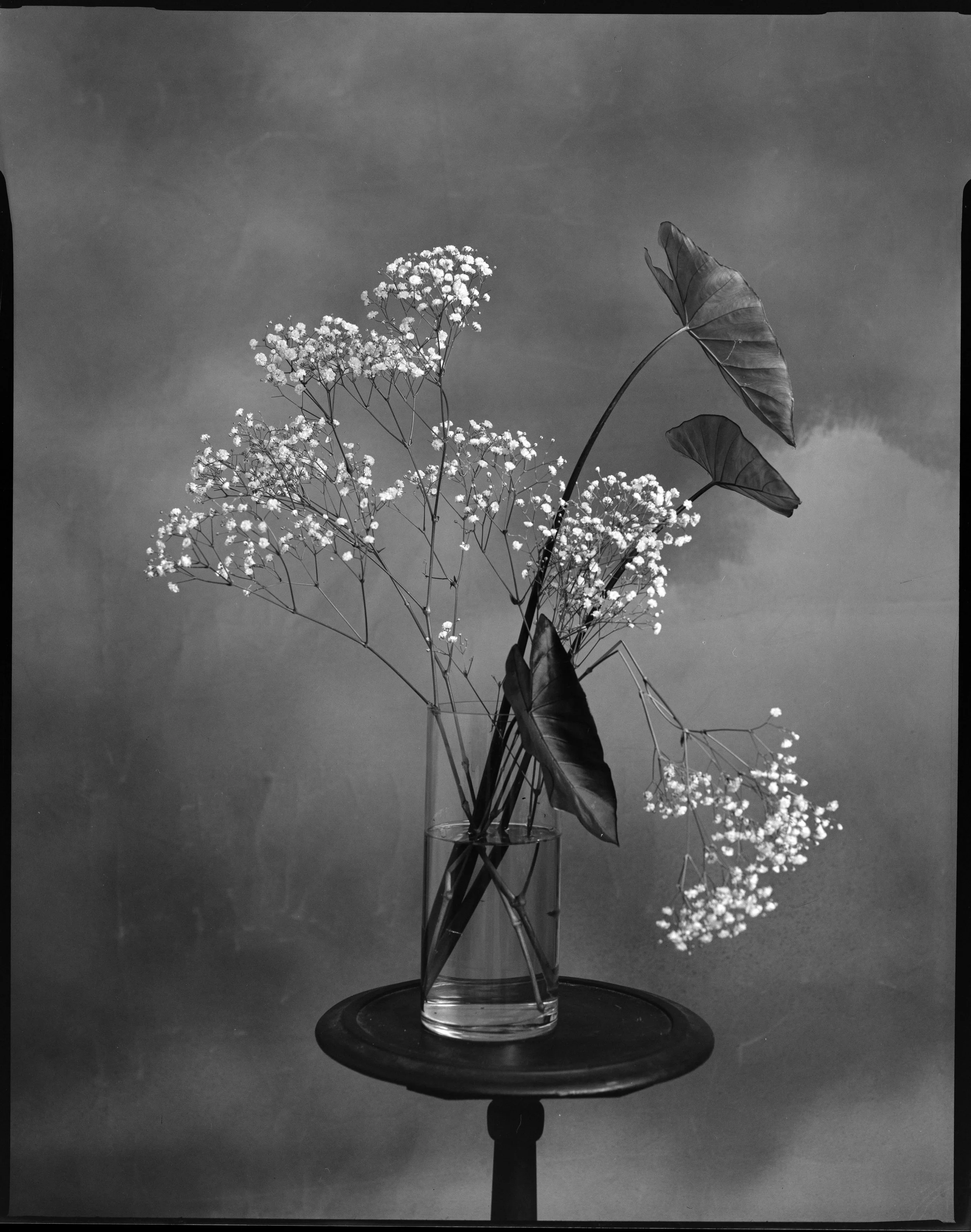 Large Format Workshop 04.05-7.JPG