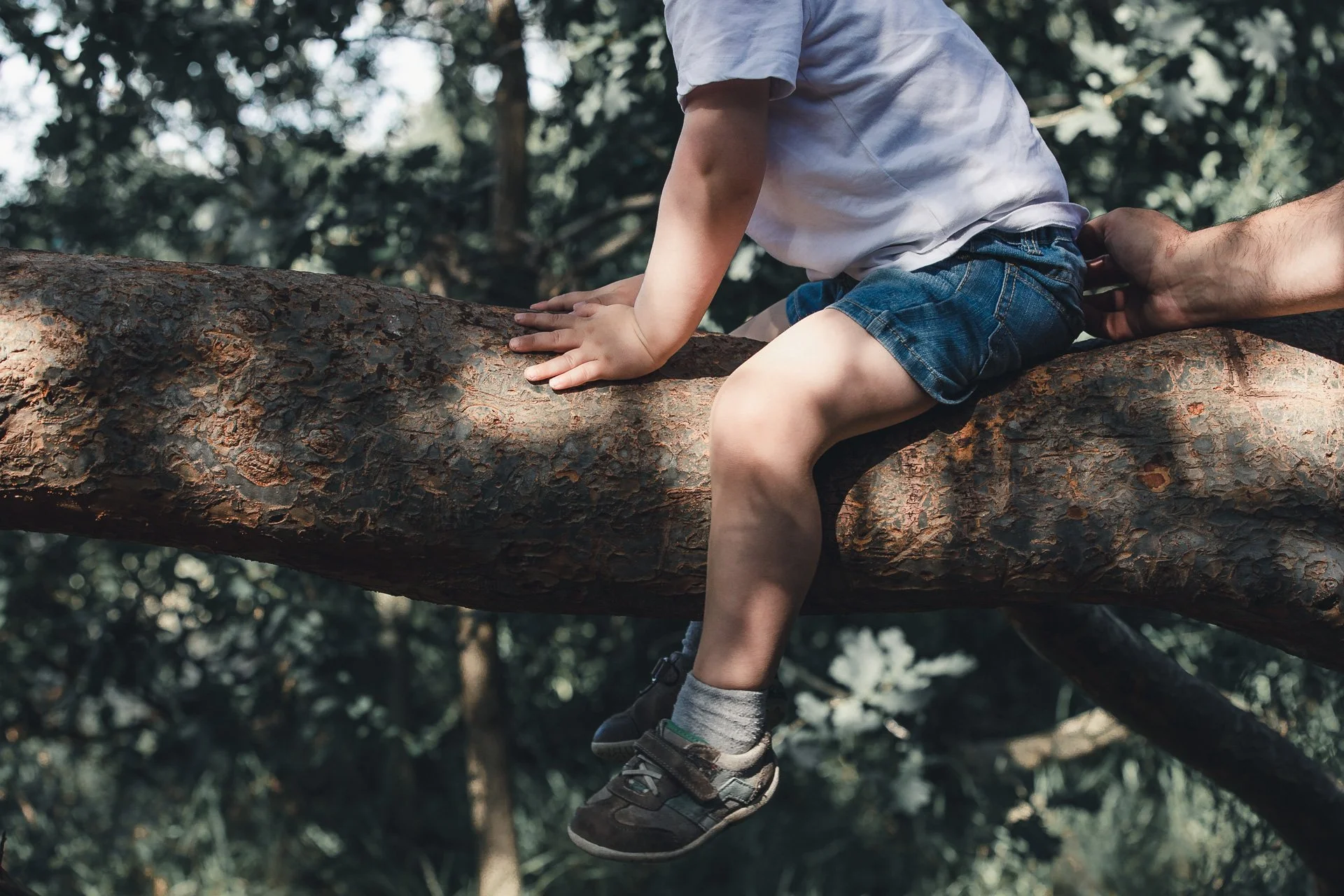 EXPLORE FAMILY & BABIES