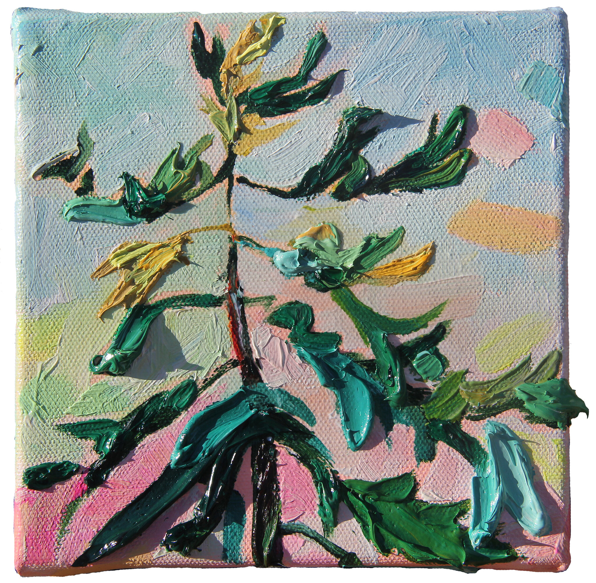 Clapping Tree, 6 x 6" oil and acrylic on canvas, 2020
