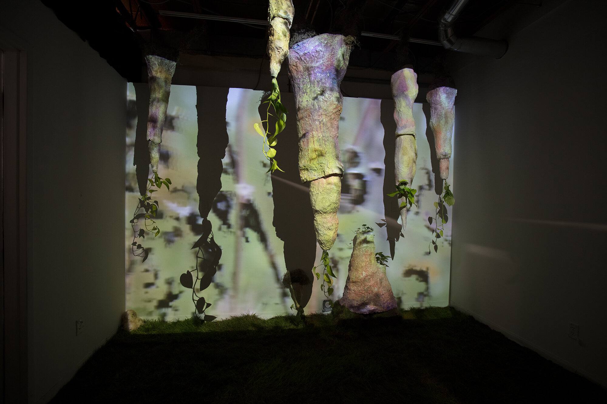 Gardens & Grottoes, Karst Composting, Ignite Gallery, 2019
