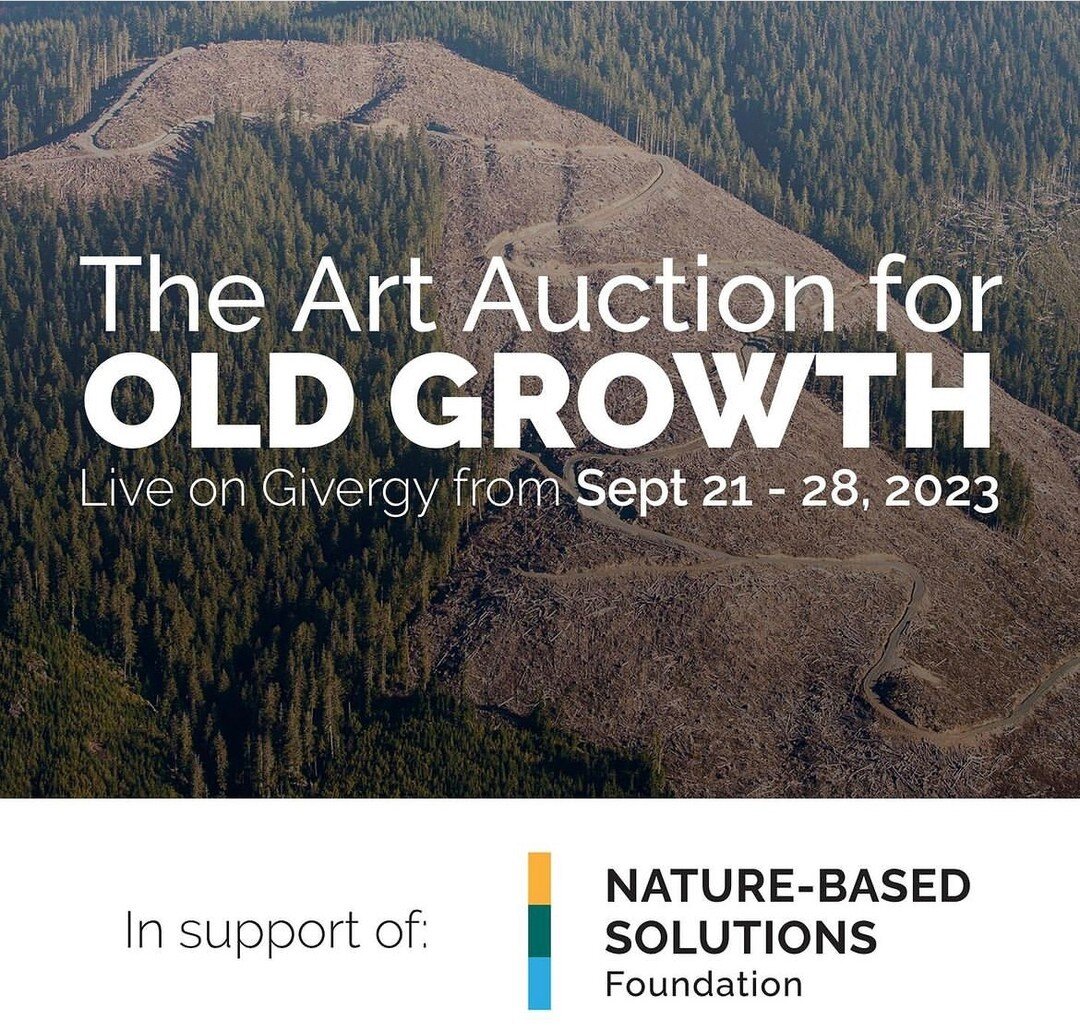 Art auction closes tomorrow! Lots of fabulous Canadian artists contributing to this effort. Head over to artauctionforoldgrowth.org to bid and help protect our ancient forests 💚

My painting titled 𝘾𝙡𝙤𝙪𝙙𝙗𝙪𝙨𝙩𝙞𝙣𝙜 (𝙎𝙚𝙚𝙞𝙣𝙜 𝙉𝙚𝙤𝙣) *l