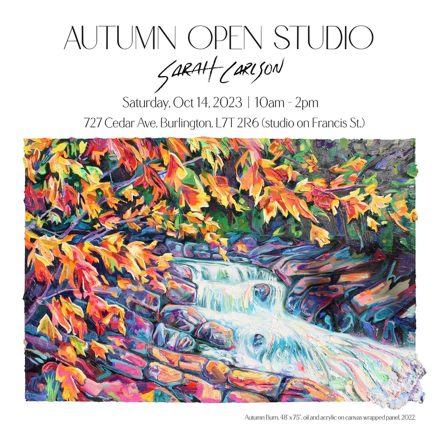 Save the date! You&rsquo;re invited to my next open studio on Saturday, October 14 (10am - 2pm) 🎨 Will feature my latest paintings accompanied by the earthy sounds of Hamilton&rsquo;s singer songwriter Marshall Veroni 🎵 Check him out at @marshallve