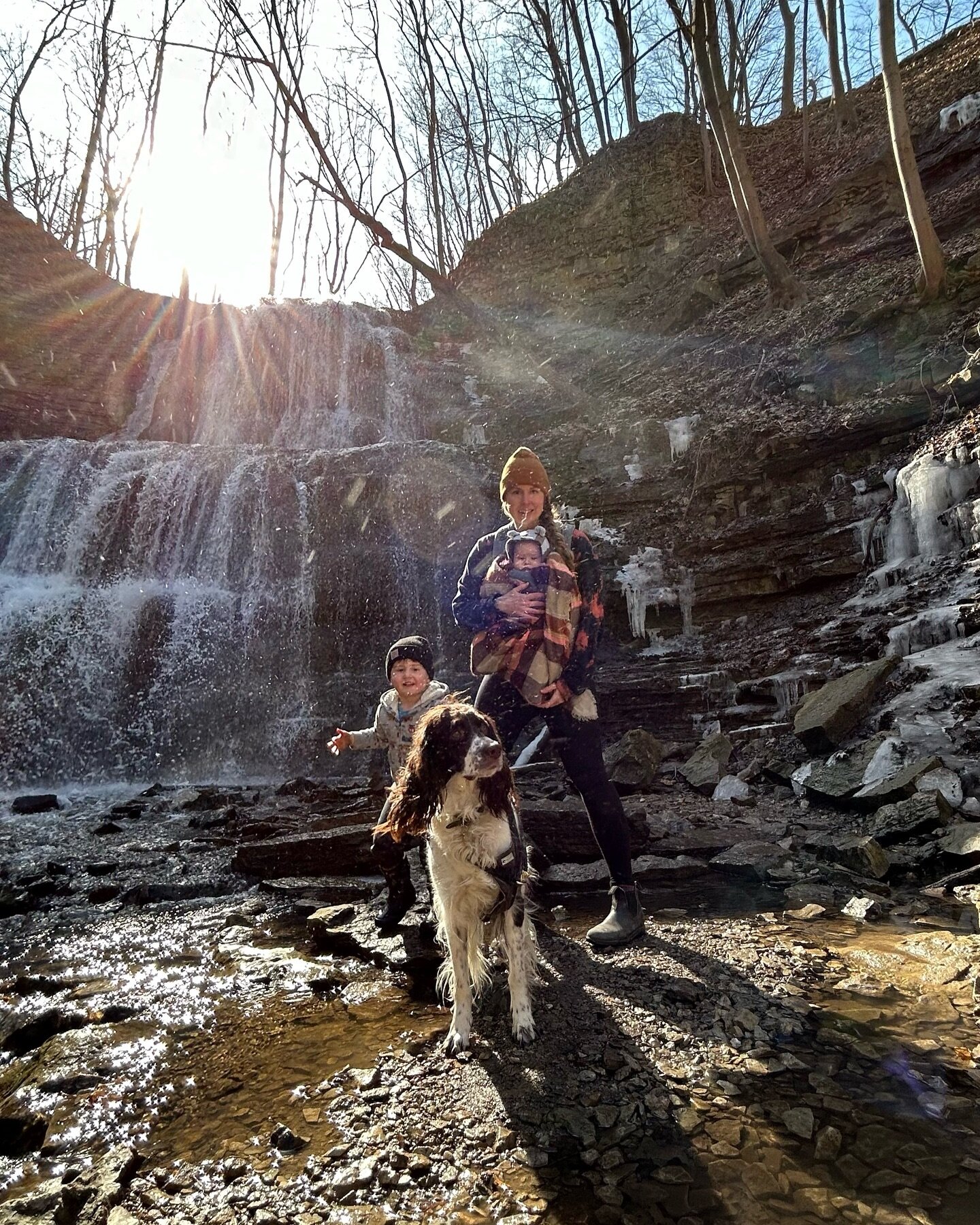 Sunny hike with my babies ☀️🐾☀️

#hikingwithbabies #hamont #waterfallcapitaloftheworld #waterfallhike #shermanfalls #hikingwithkids #trailmom #adventurewithkids #adventurefamily #hikingwithdogs #frenchspaniel