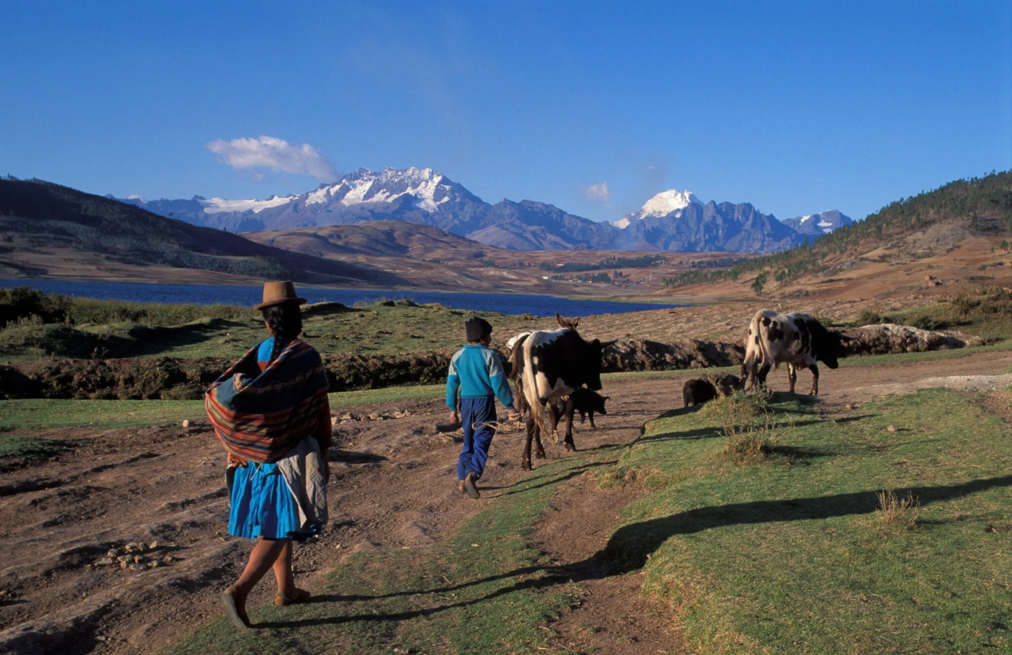 A woman and a child walking near cows and goats by a lake with mountains in the background.