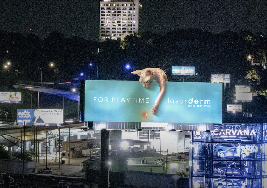 LASERDERM - LASER CAT