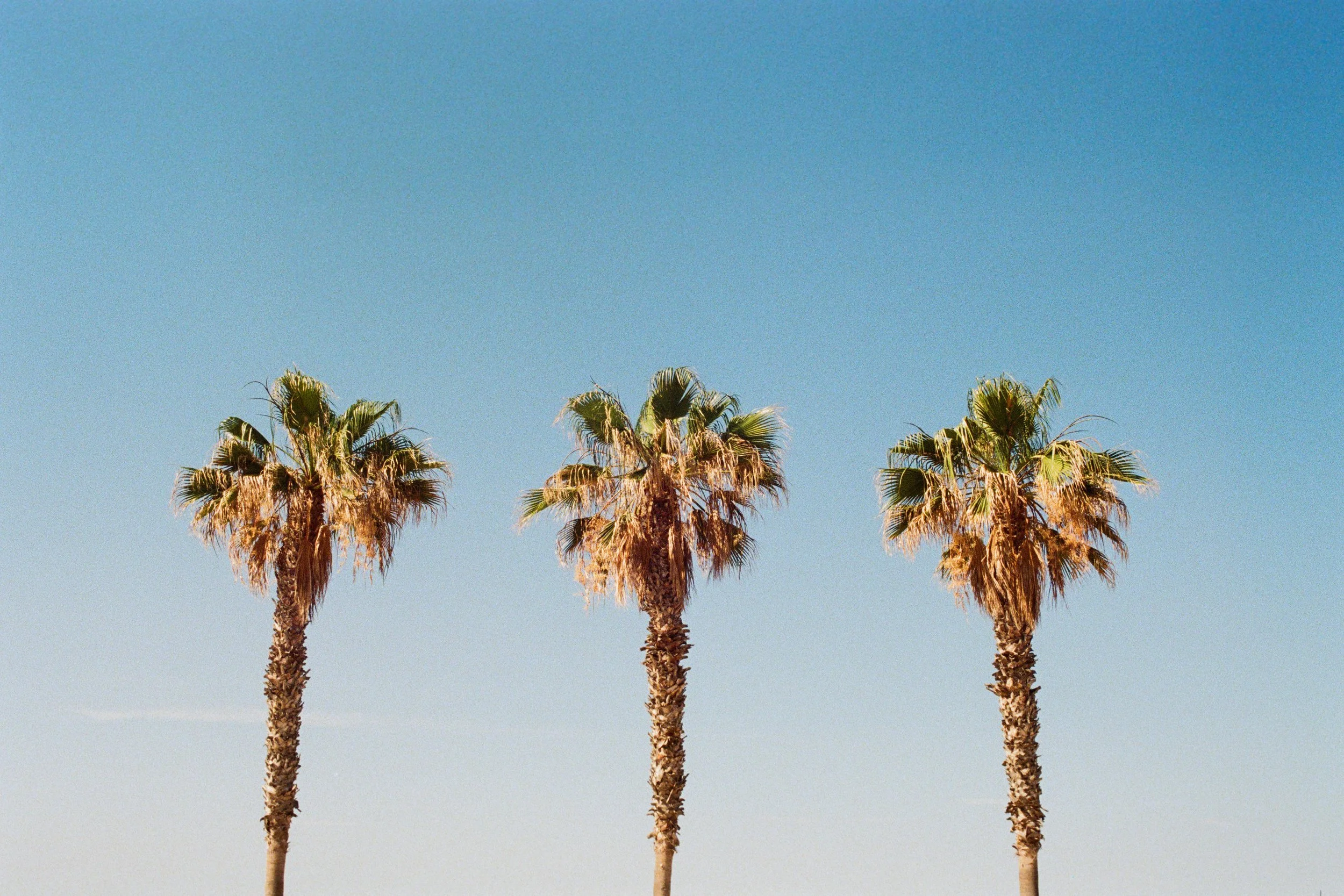 Mallorca, Spain - June 2024 | ByJakeHall SS24 Campaign