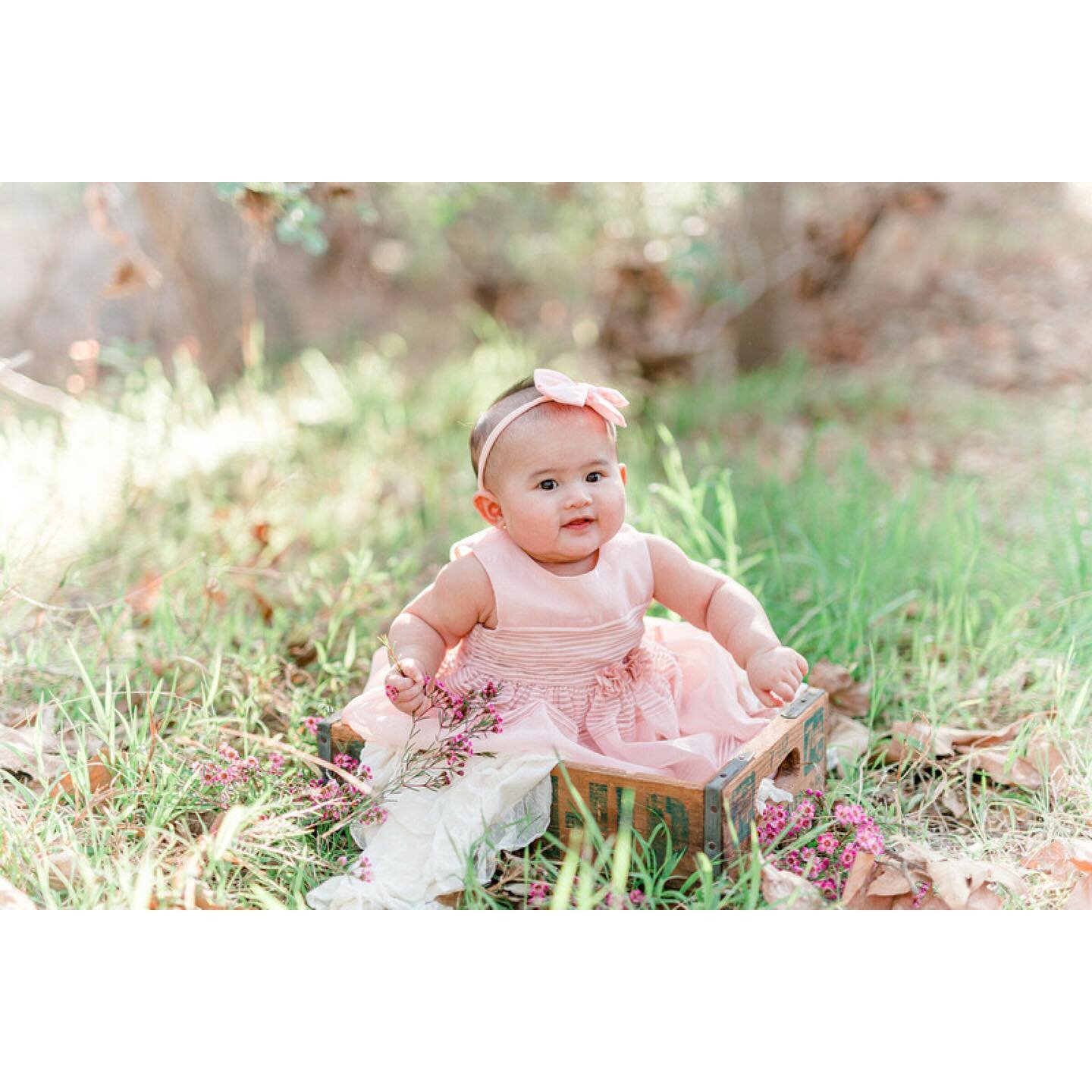 Oh how adorable are her sweet round cheeks! 6months sessions are my faaaaavorite age to document.
.
.
.

.

.
.
.

.
.
.
.
.
.
.
.
.
.
.
.
.
#erinchristinephotography #sandiegophotographer #maternityphotographer #sandiegomaternityphotographer #mother