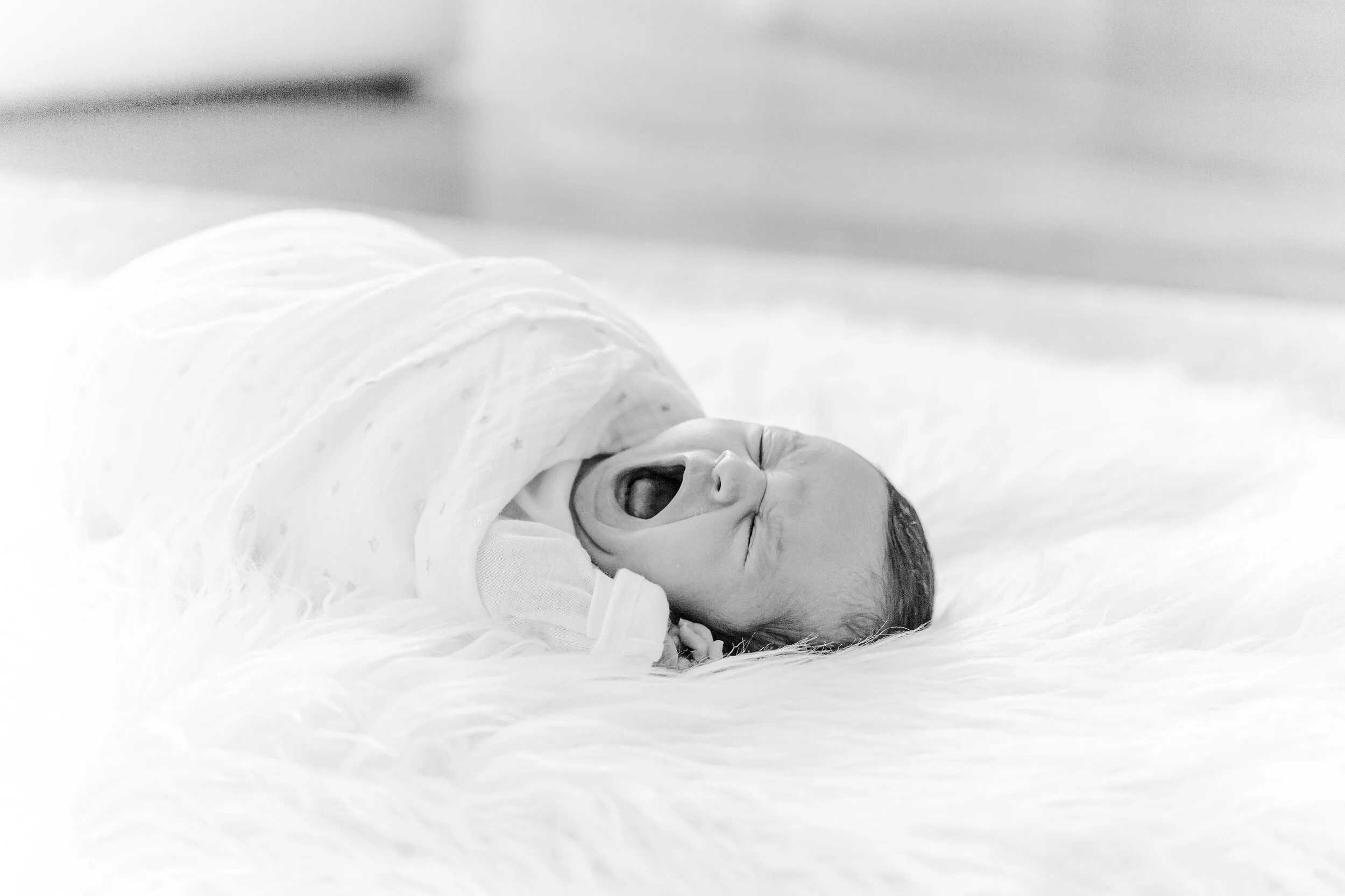 san diego family photographer
