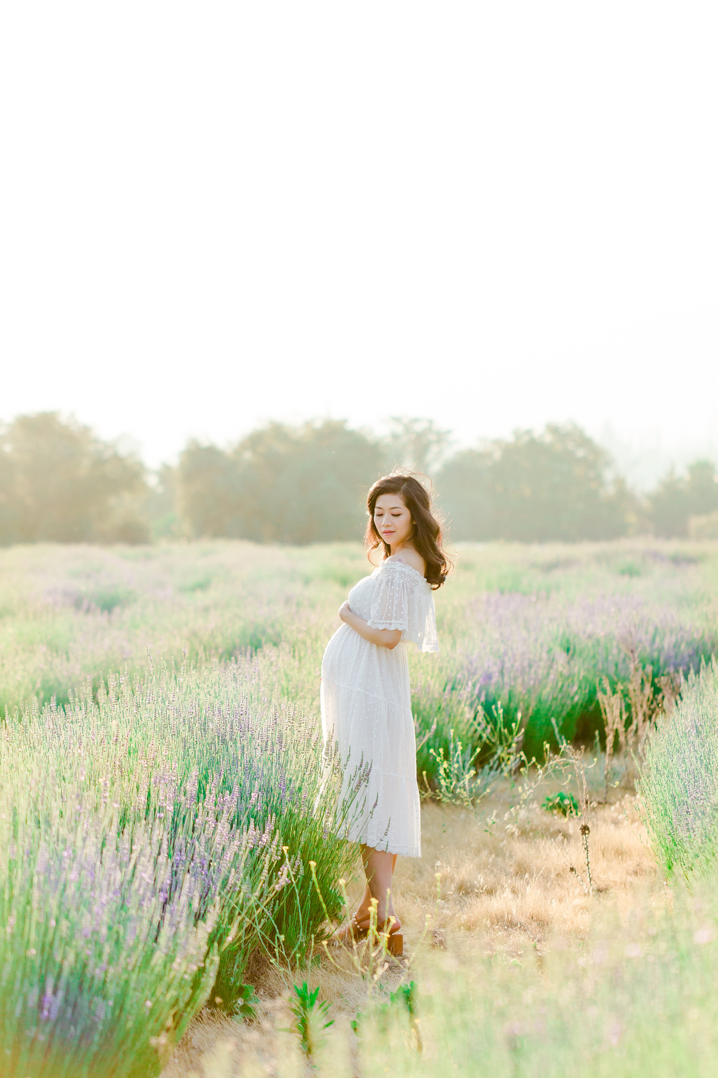 san diego lavender field maternity photoshoot