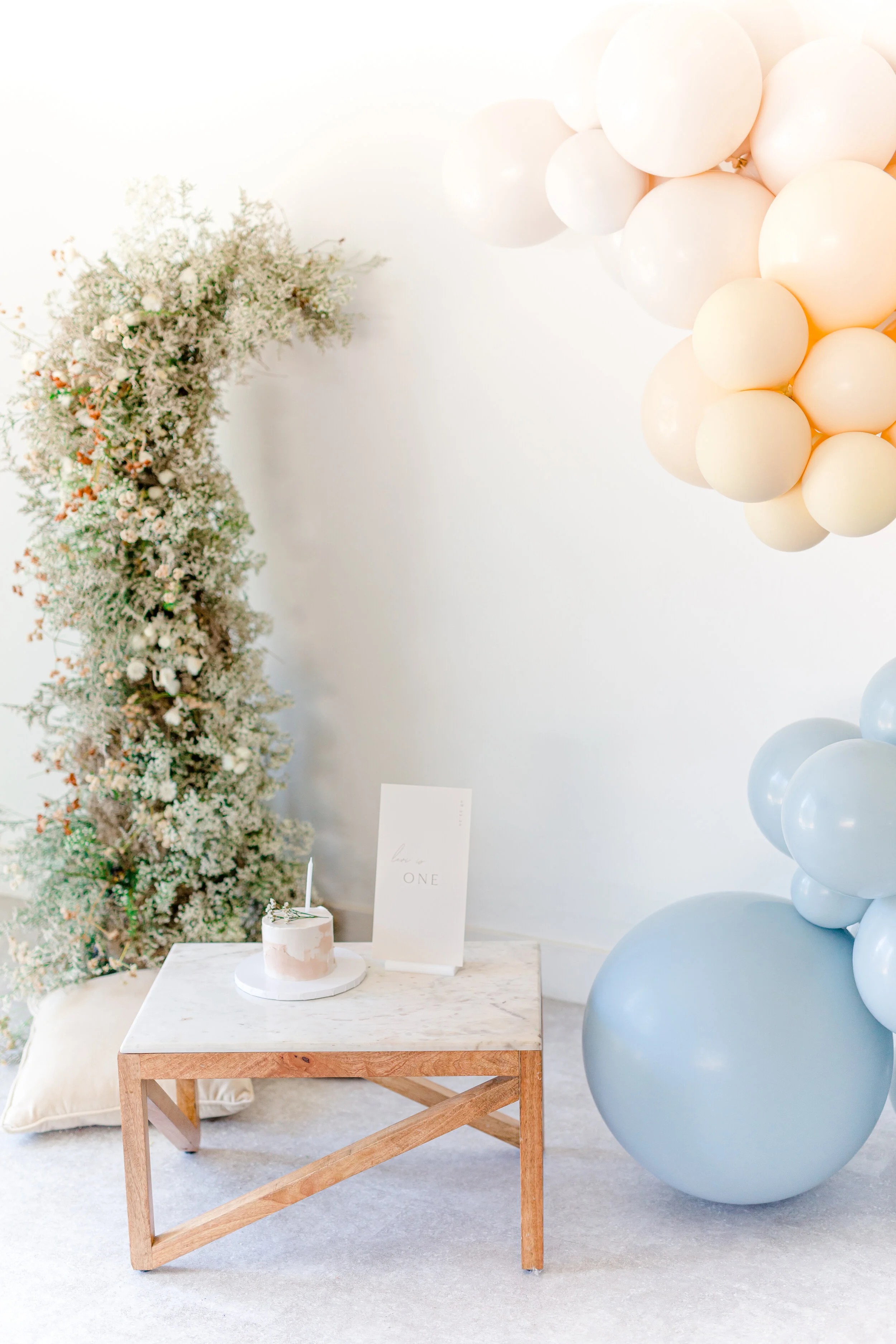 san diego cakesmash photoshoot-4758.jpg
