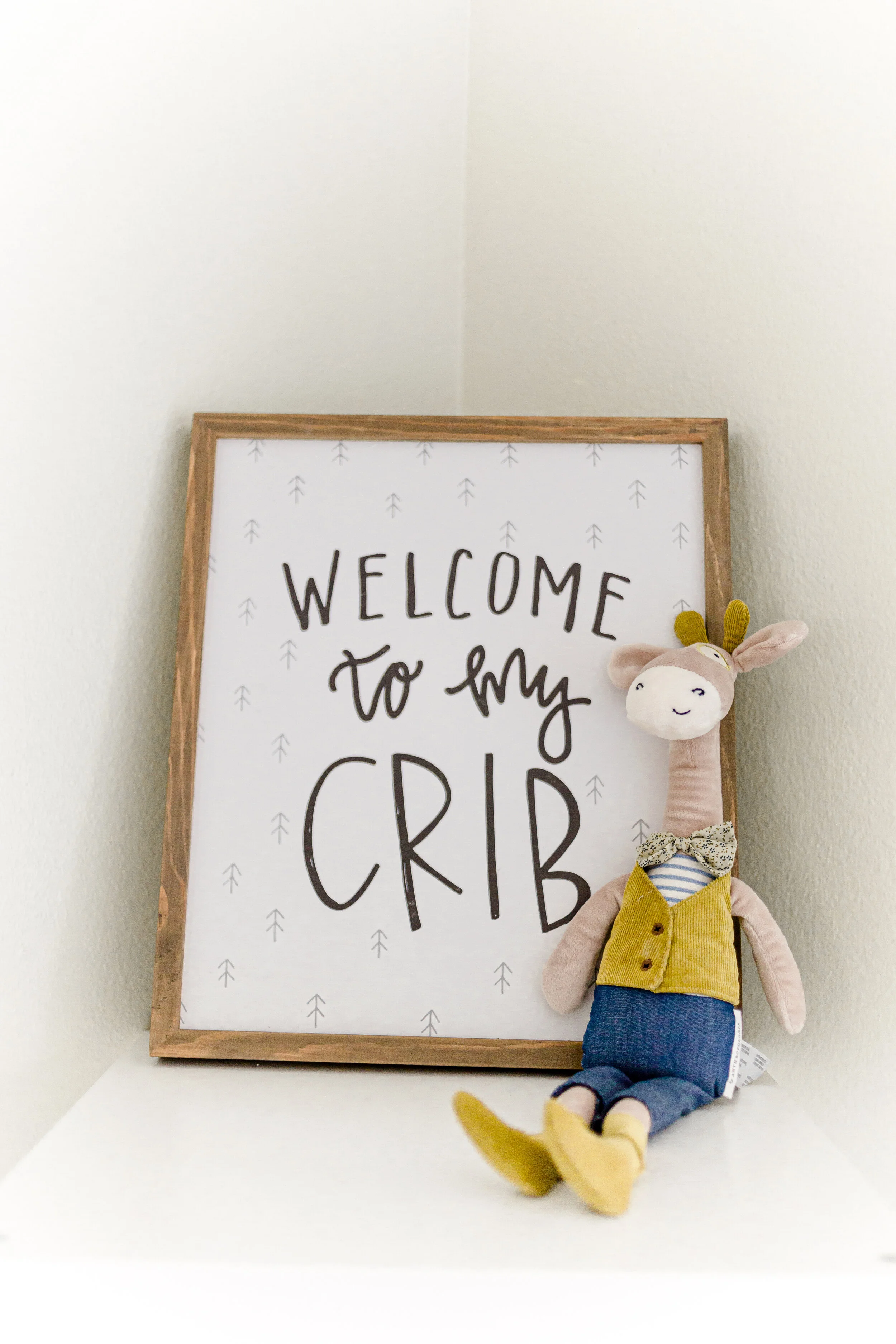 San Diego Lifestyle Newborn Photographer-4887.jpg