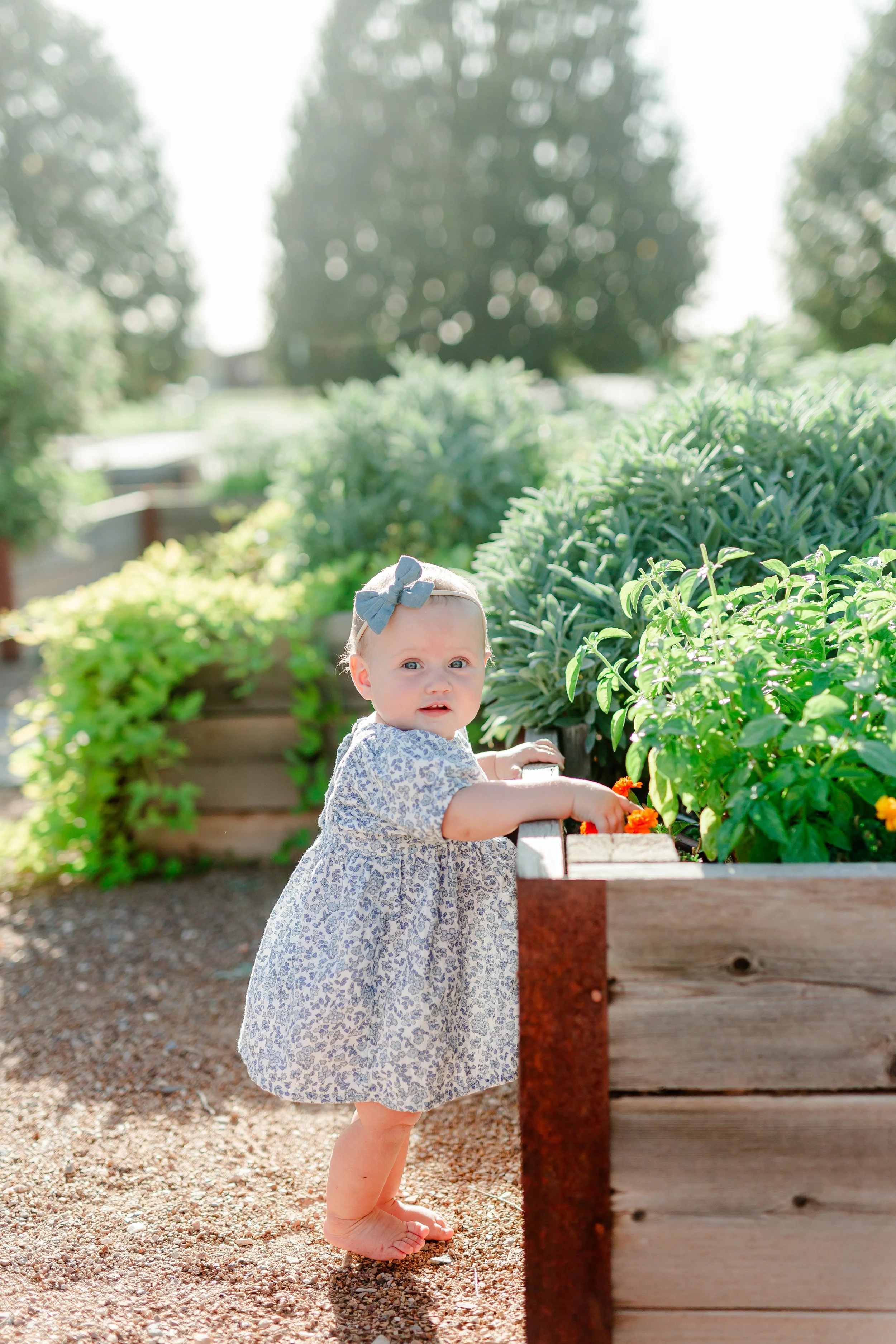 Kaysville Utah Botanical Garden Cakesmash Photoshoot-8899.jpg