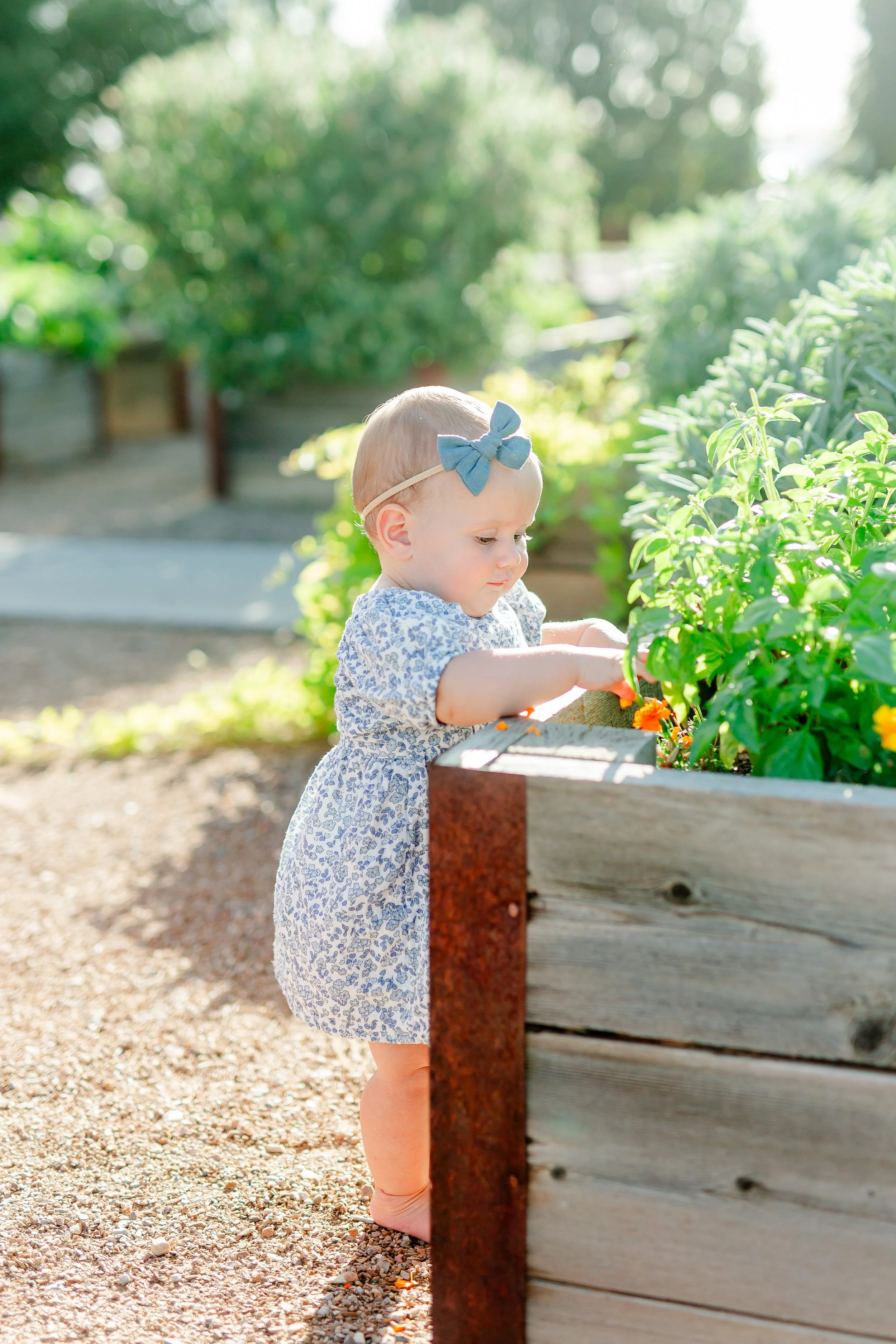 Kaysville Utah Botanical Garden Cakesmash Photoshoot-8927.jpg