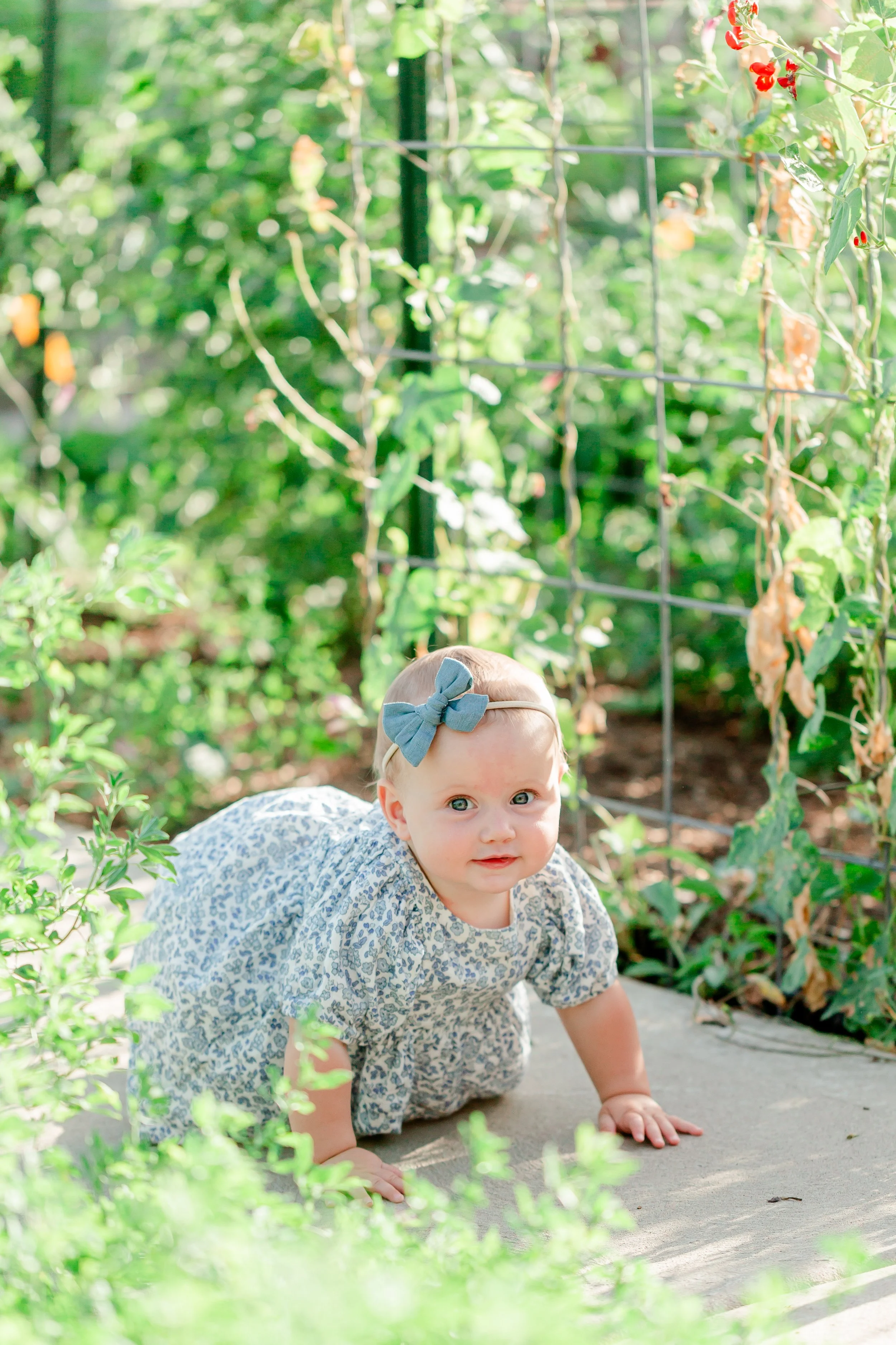 Kaysville Utah Botanical Garden Cakesmash Photoshoot-8960.jpg
