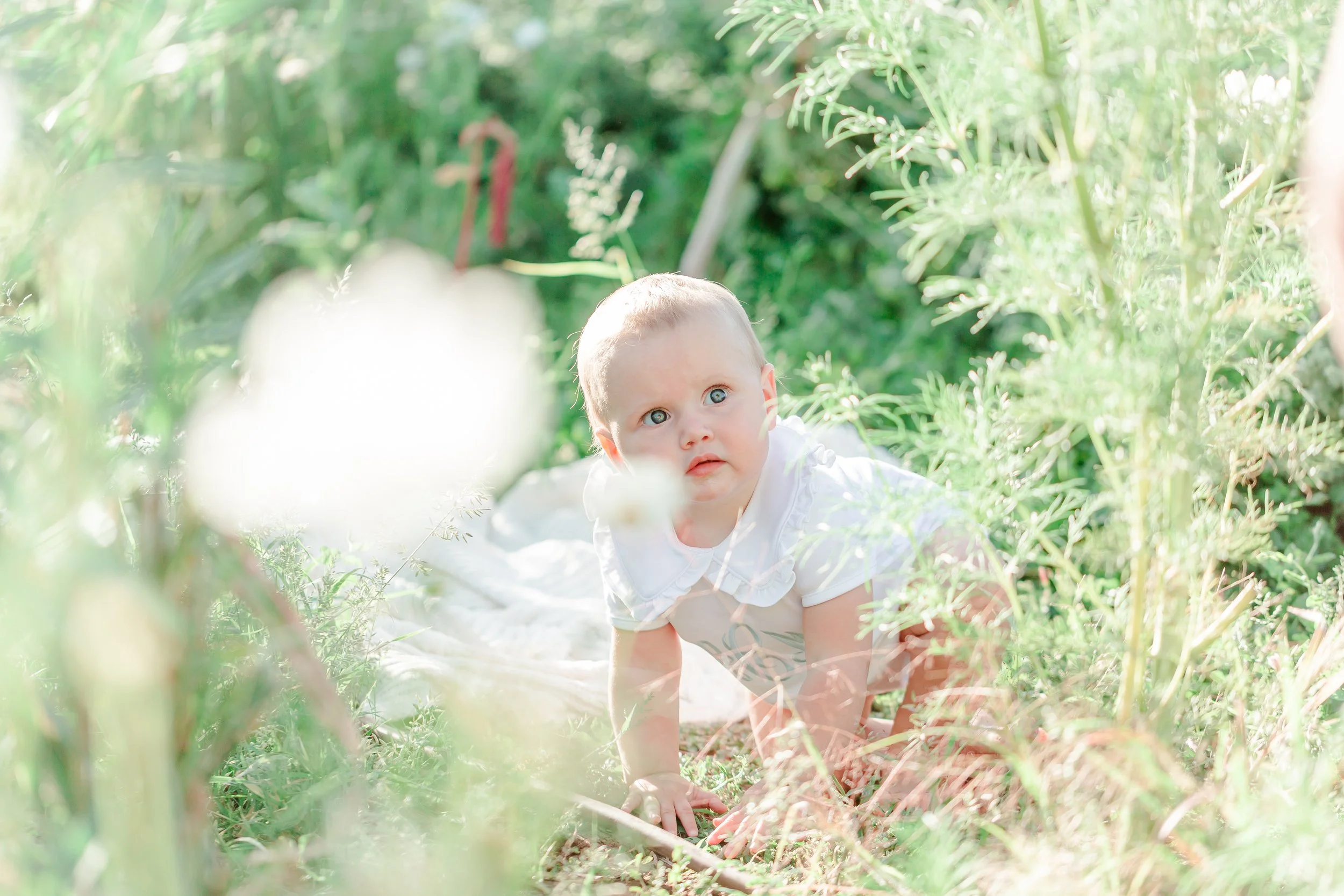 Kaysville Utah Botanical Garden Cakesmash Photoshoot-9442.jpg