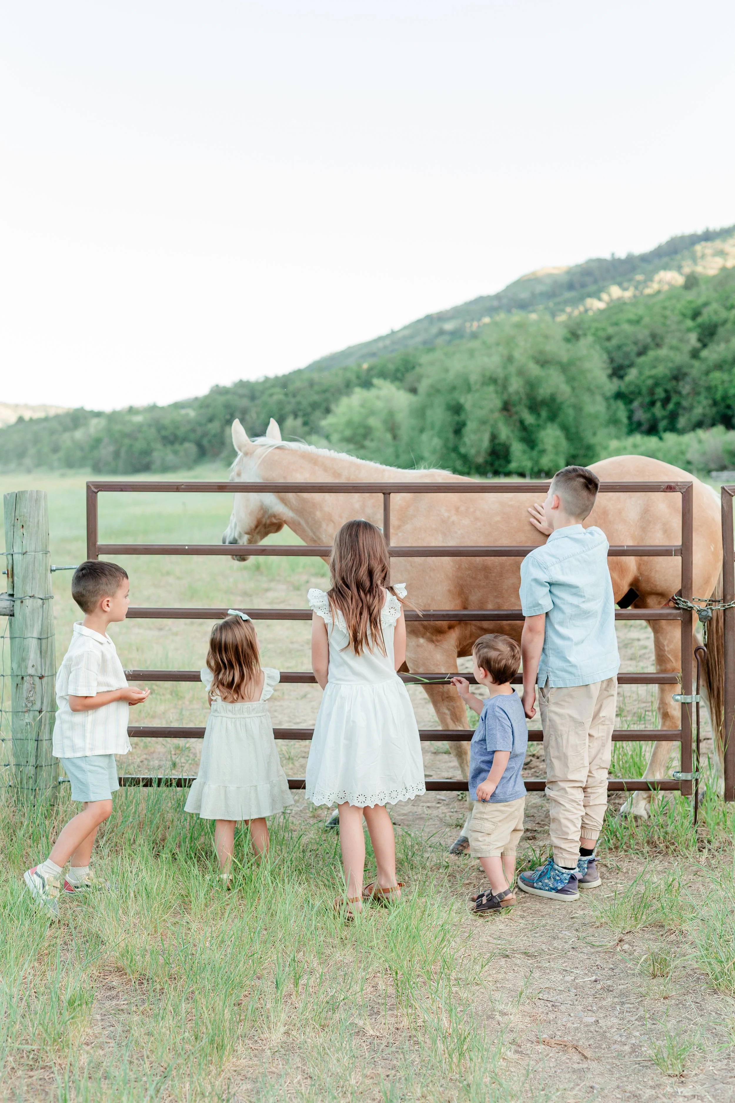 Northern Utah Family Photographer