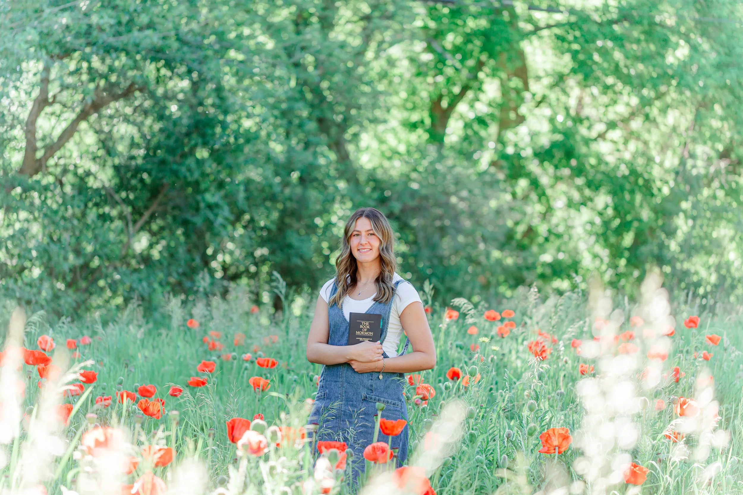 Mantua Utah Poppy Field Photos