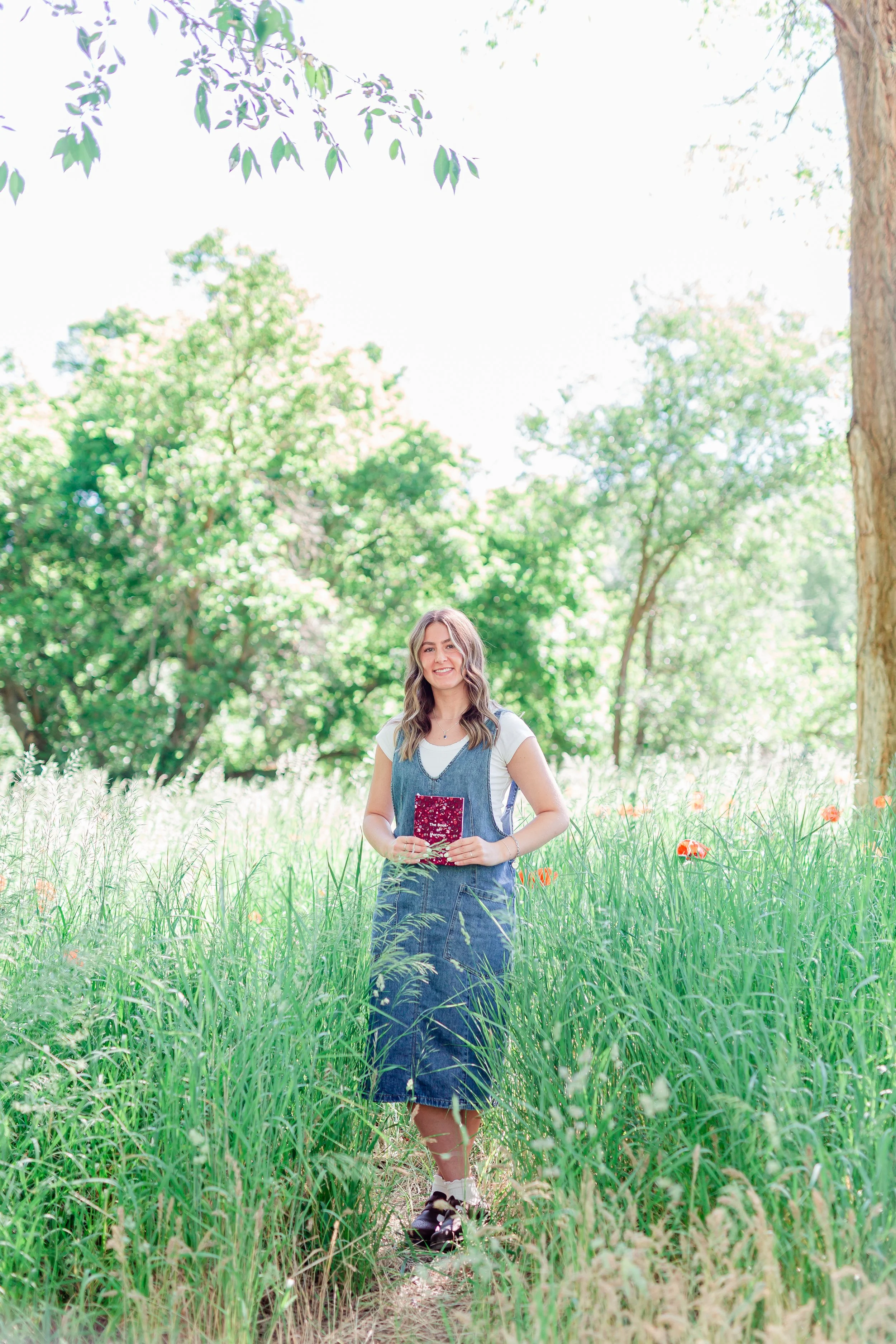 Mantua Utah Poppy Field Photos