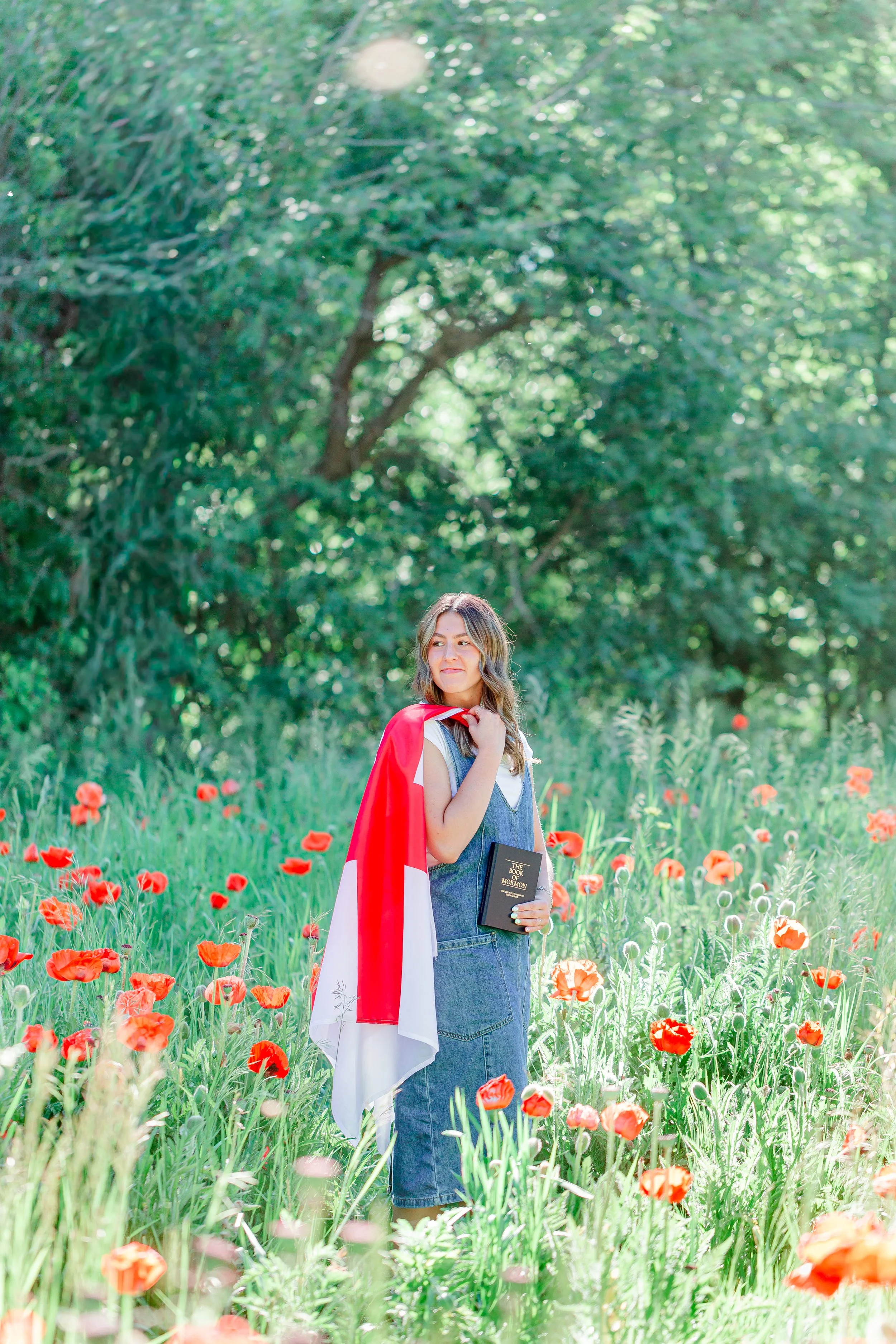 Mantua Utah Poppy Field Photos