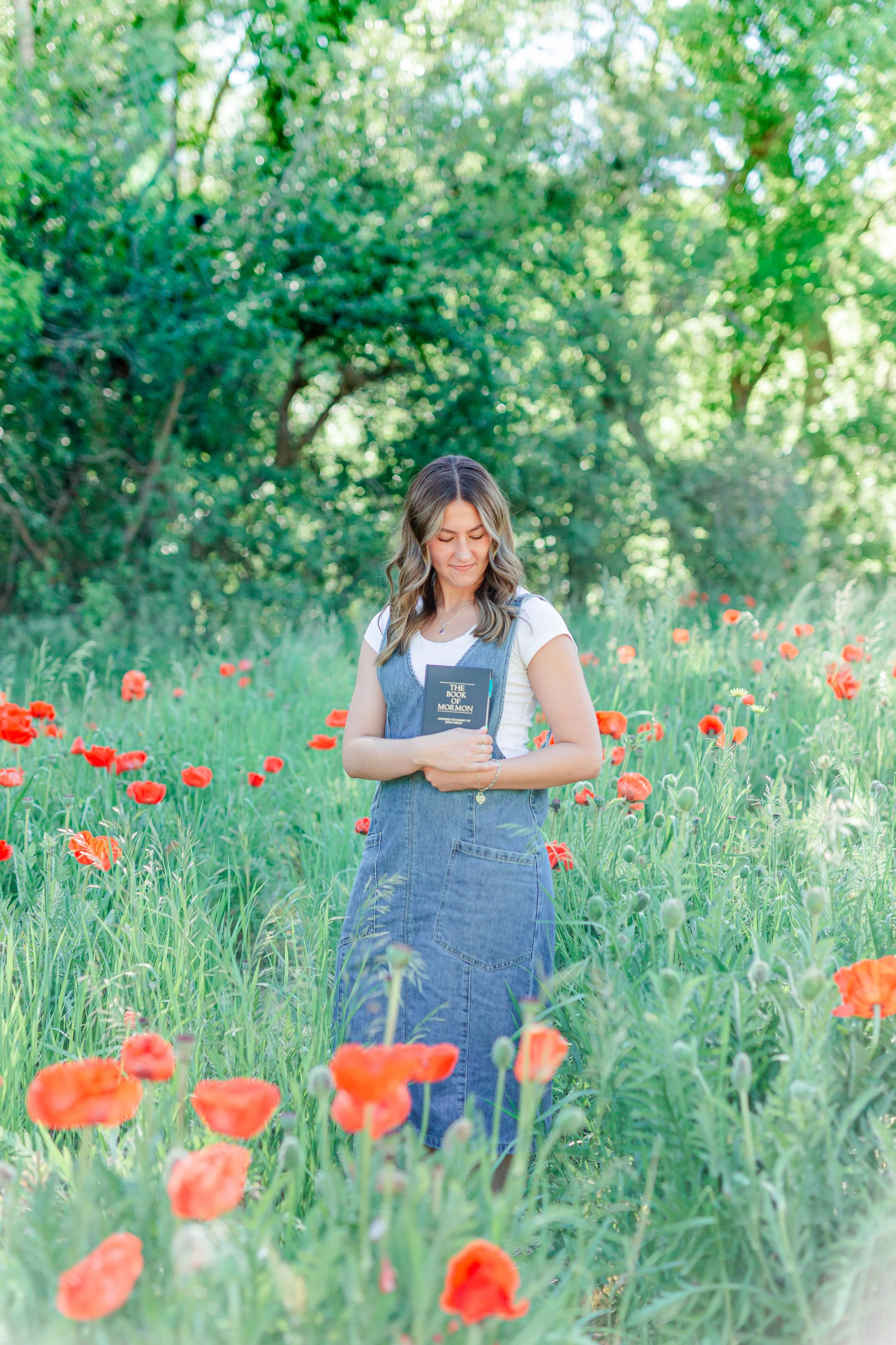 Mantua Poppy Field Photos