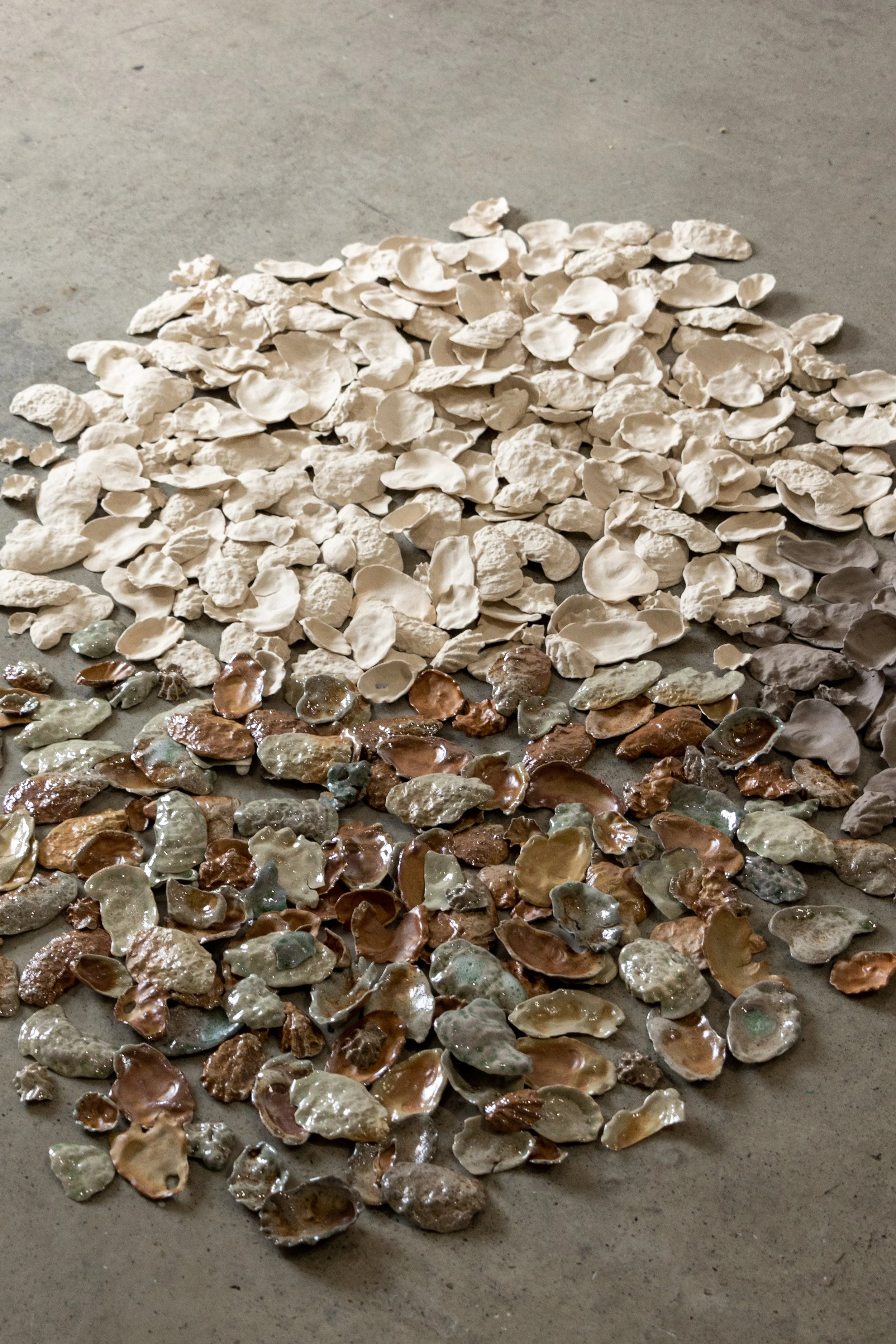 Cone 6 and 10 Stoneware, Soda Fired cast oyster shells, 2025-ongoing