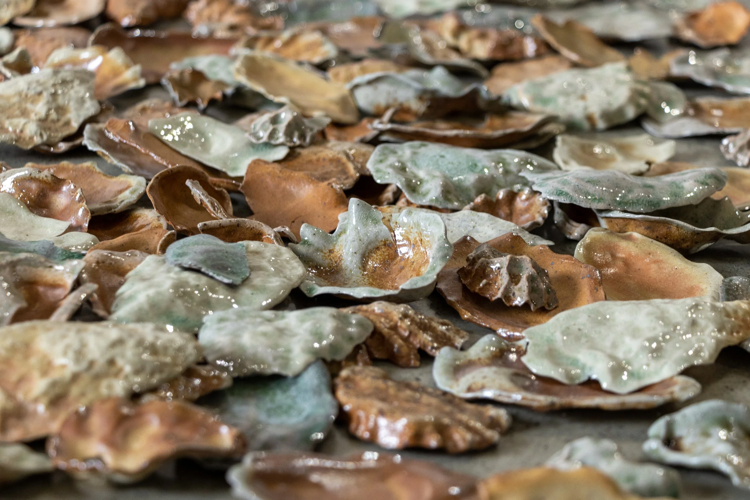 Cone 6 and 10 Stoneware, Soda Fired cast oyster shells, 2025-ongoing