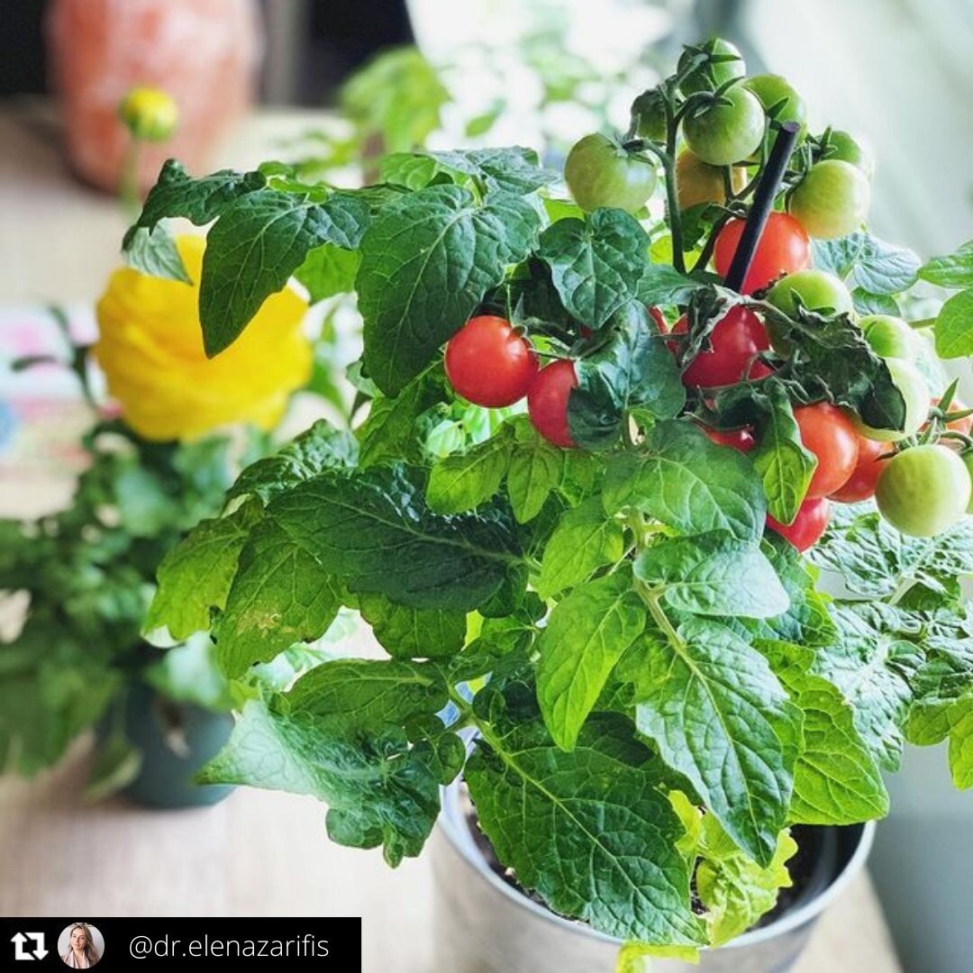 I got so excited when I came across this post from @dr.elenazarifis. The thought of spring and all the fresh produce that we are going have again just lifted my spirits 🌿 we are so close to spring I can almost taste it and that bit of warmer weather