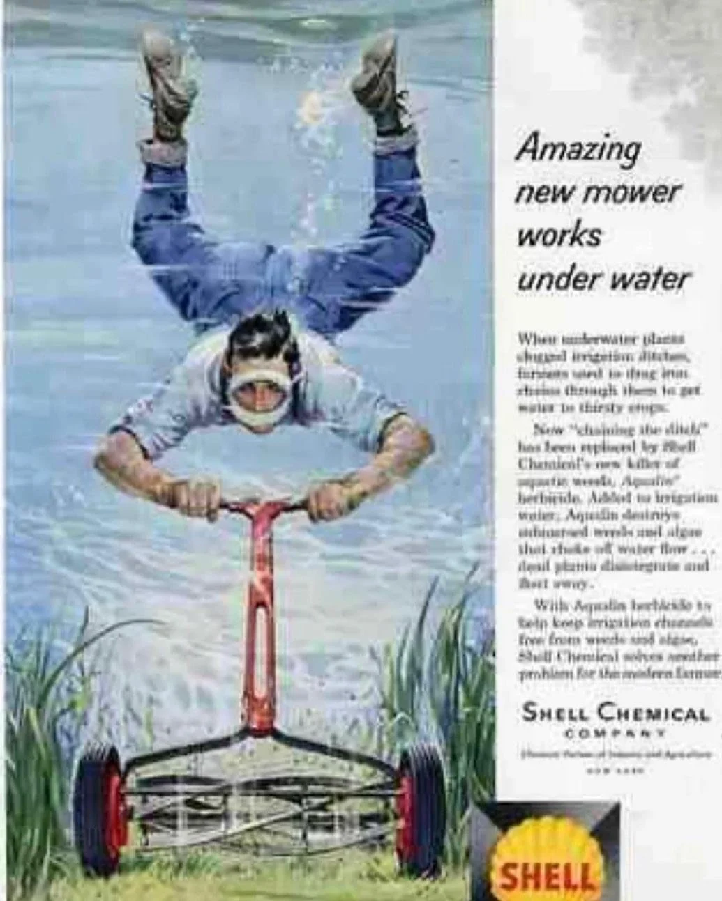 image_6483441 (1).JPG