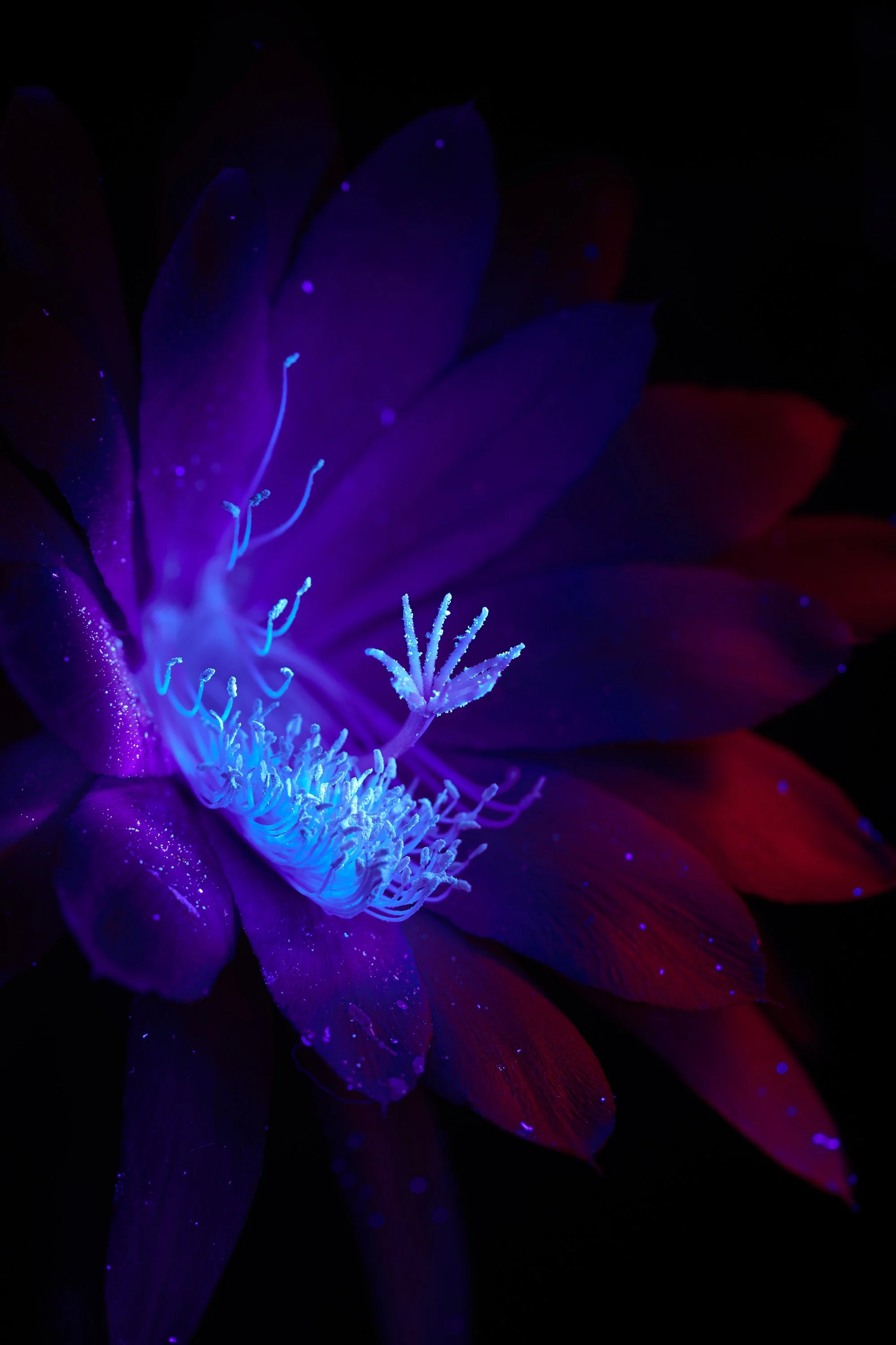 2021_turrinƒ__8102_fin copy.jpg