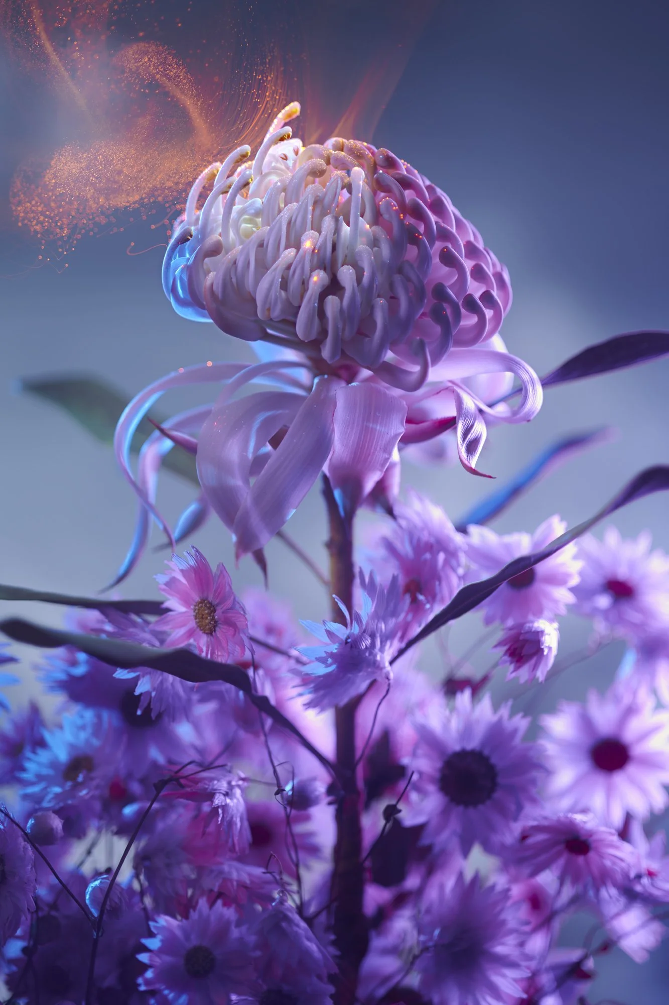 Astrobotany Tetryon Earendel