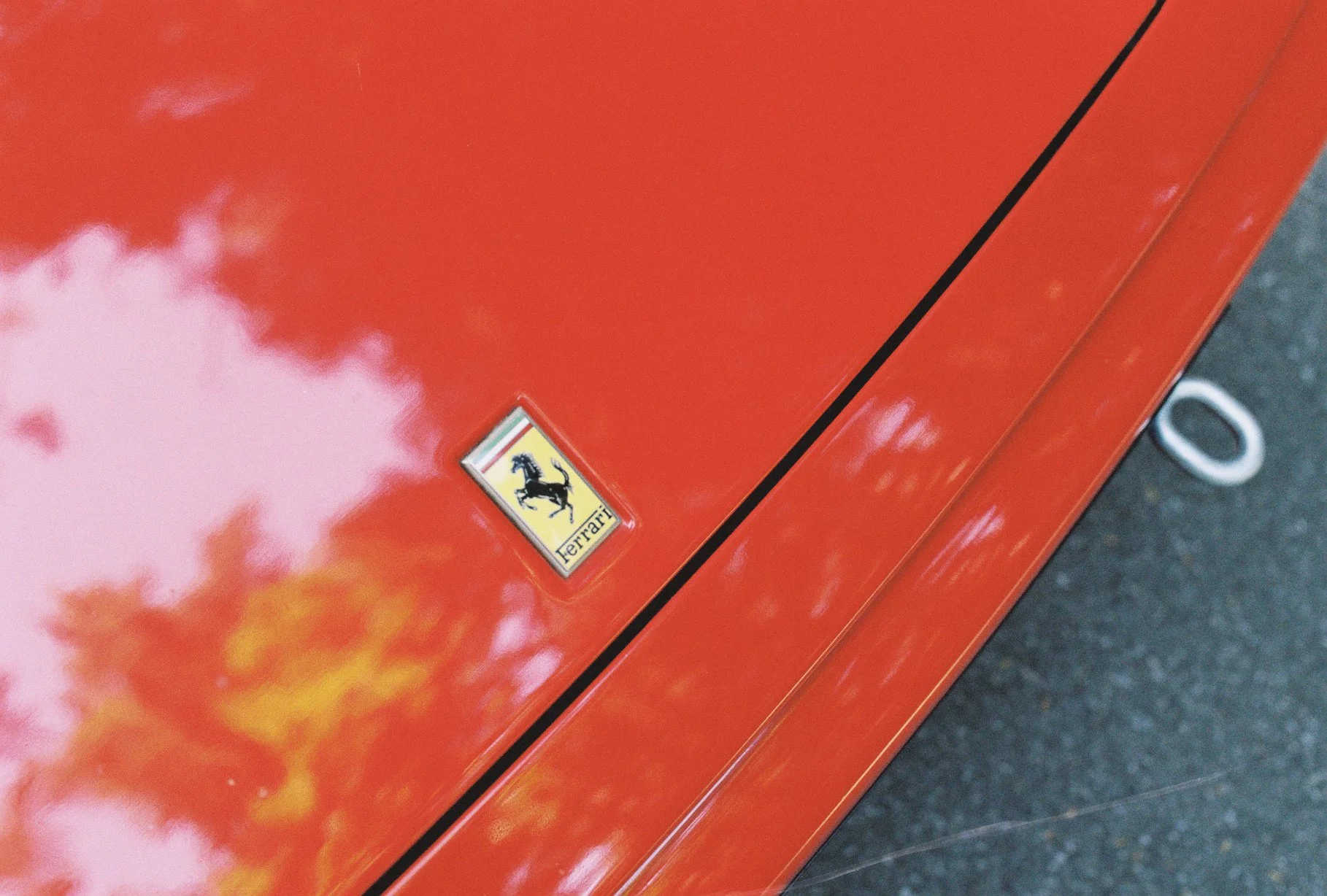 Film photograph of the Ferrari badge on red bodywork, with reflections of trees in the paint.