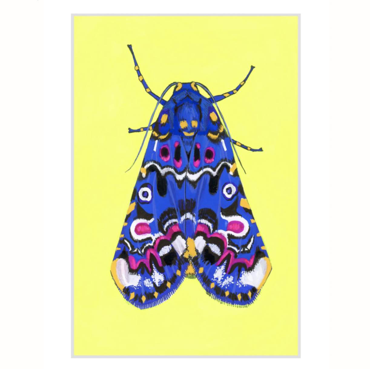 Lily Moth (Sold Out)