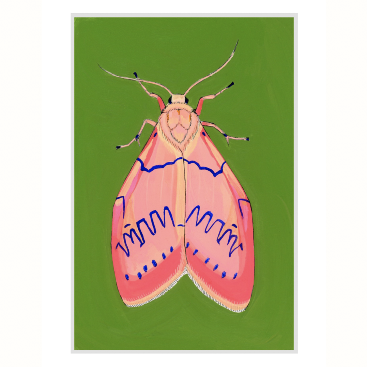 Rosy Footman Moth       (SOLD OUT)