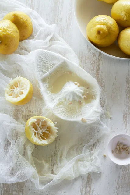 Lemonsqueezer copy.jpg